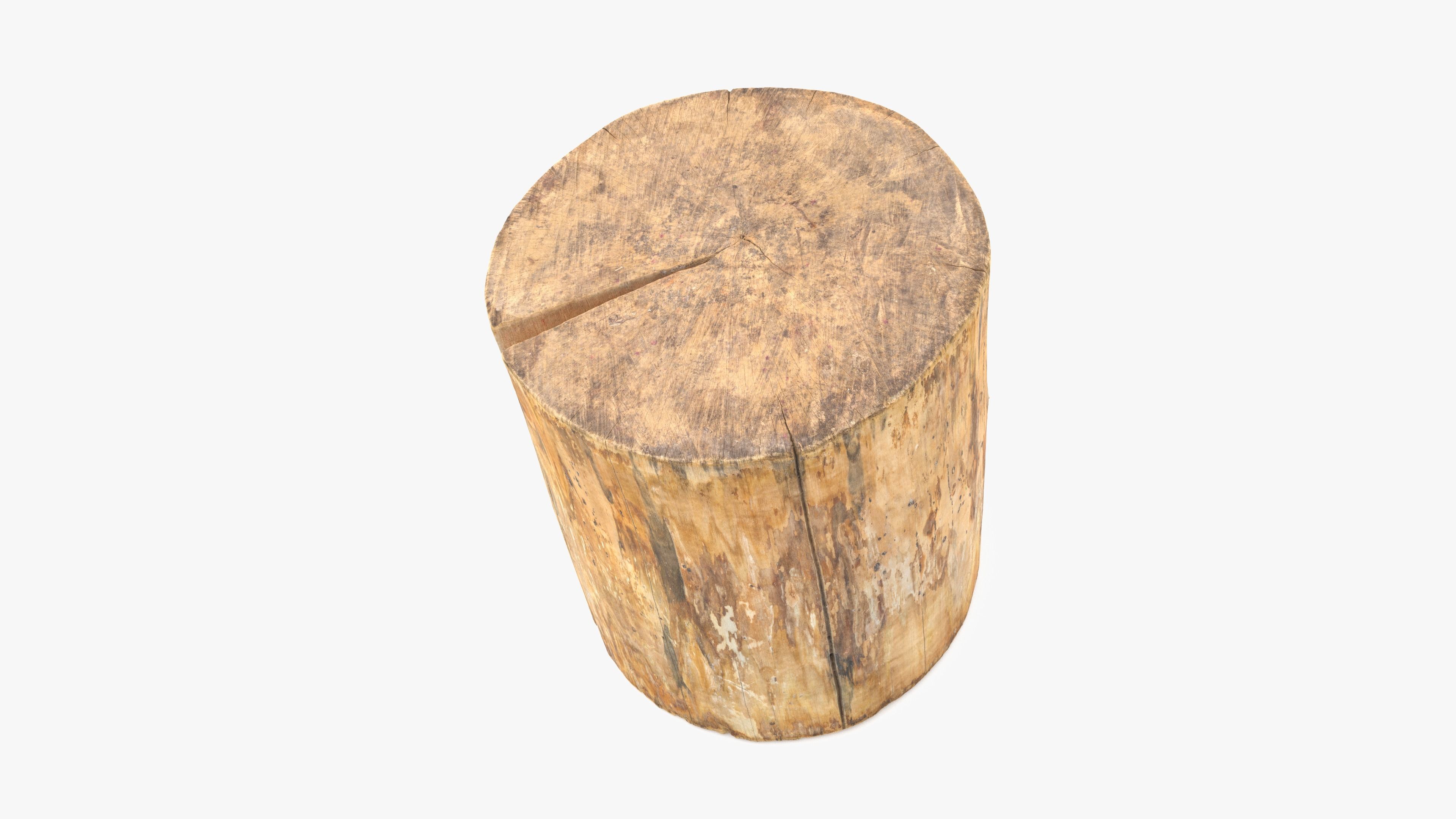 Log Round Cracked Low-poly 3D model_5