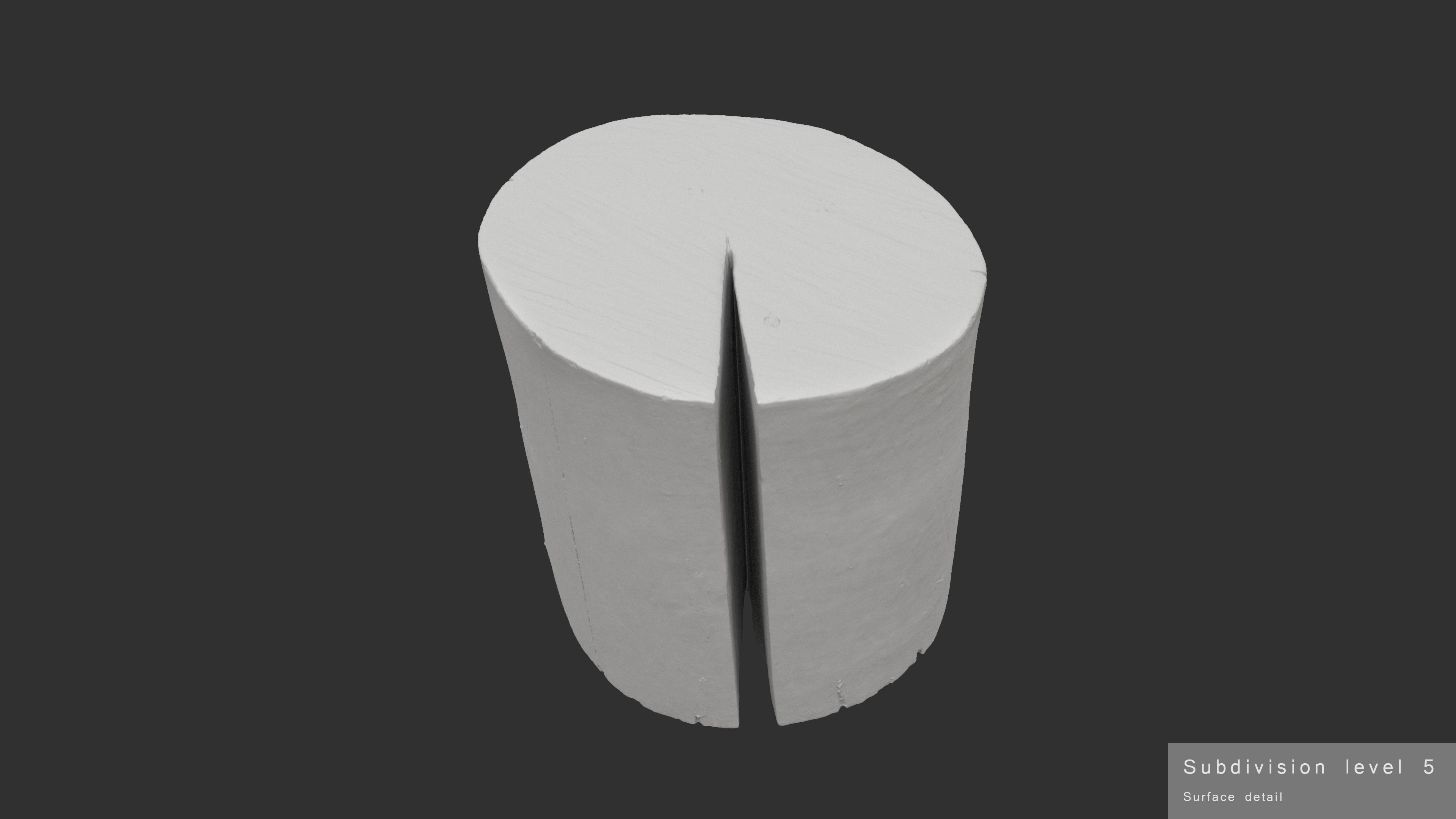 Log Round Cracked Low-poly 3D model_11