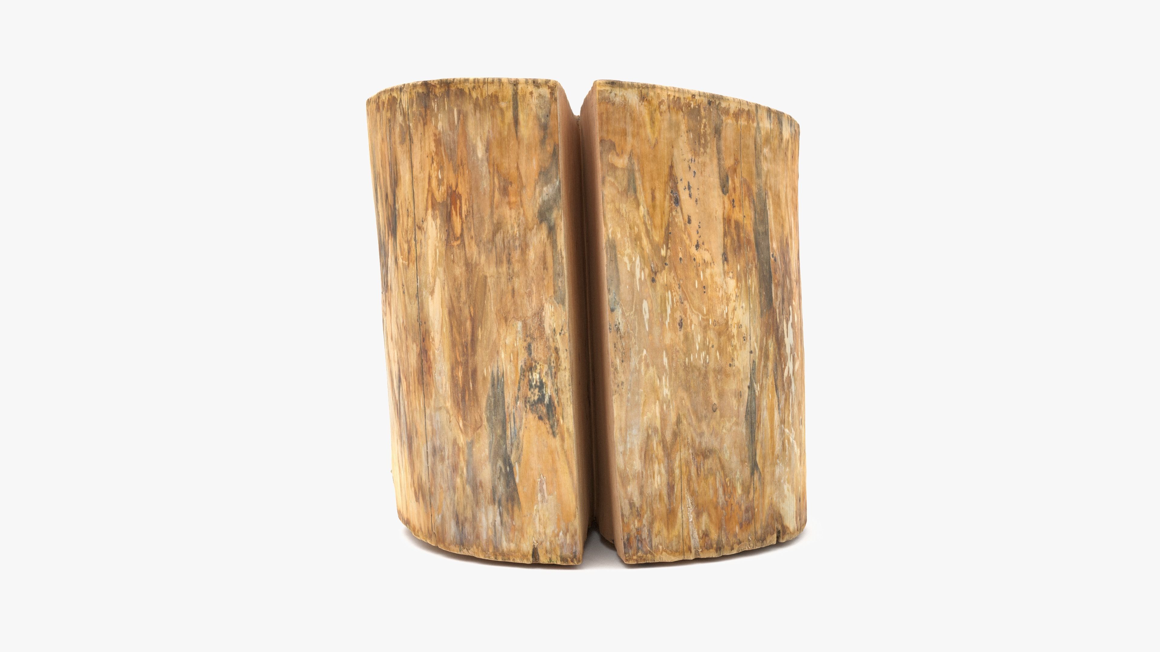 Log Round Cracked Low-poly 3D model_3