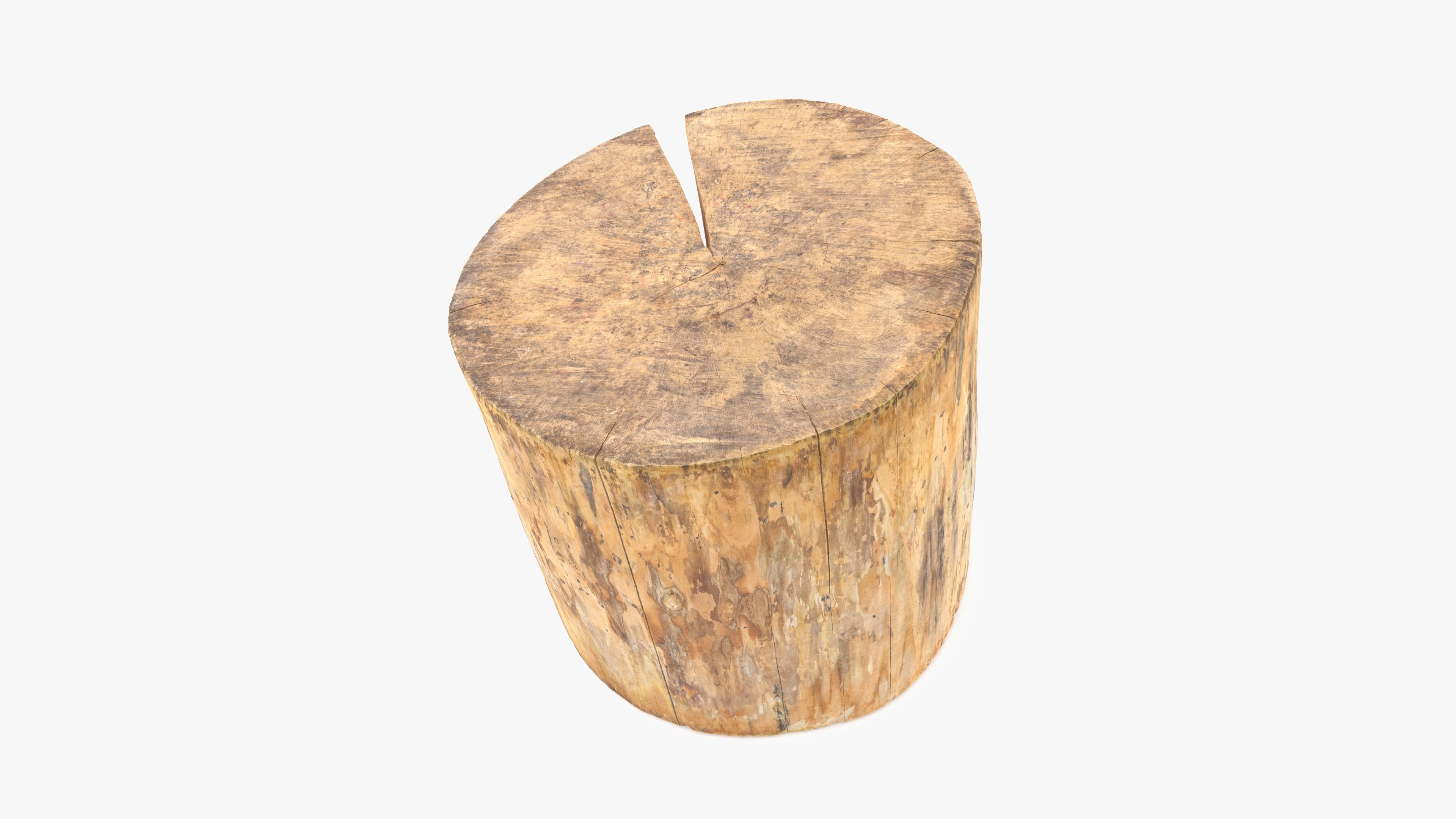 Log Round Cracked Low-poly 3D model_4