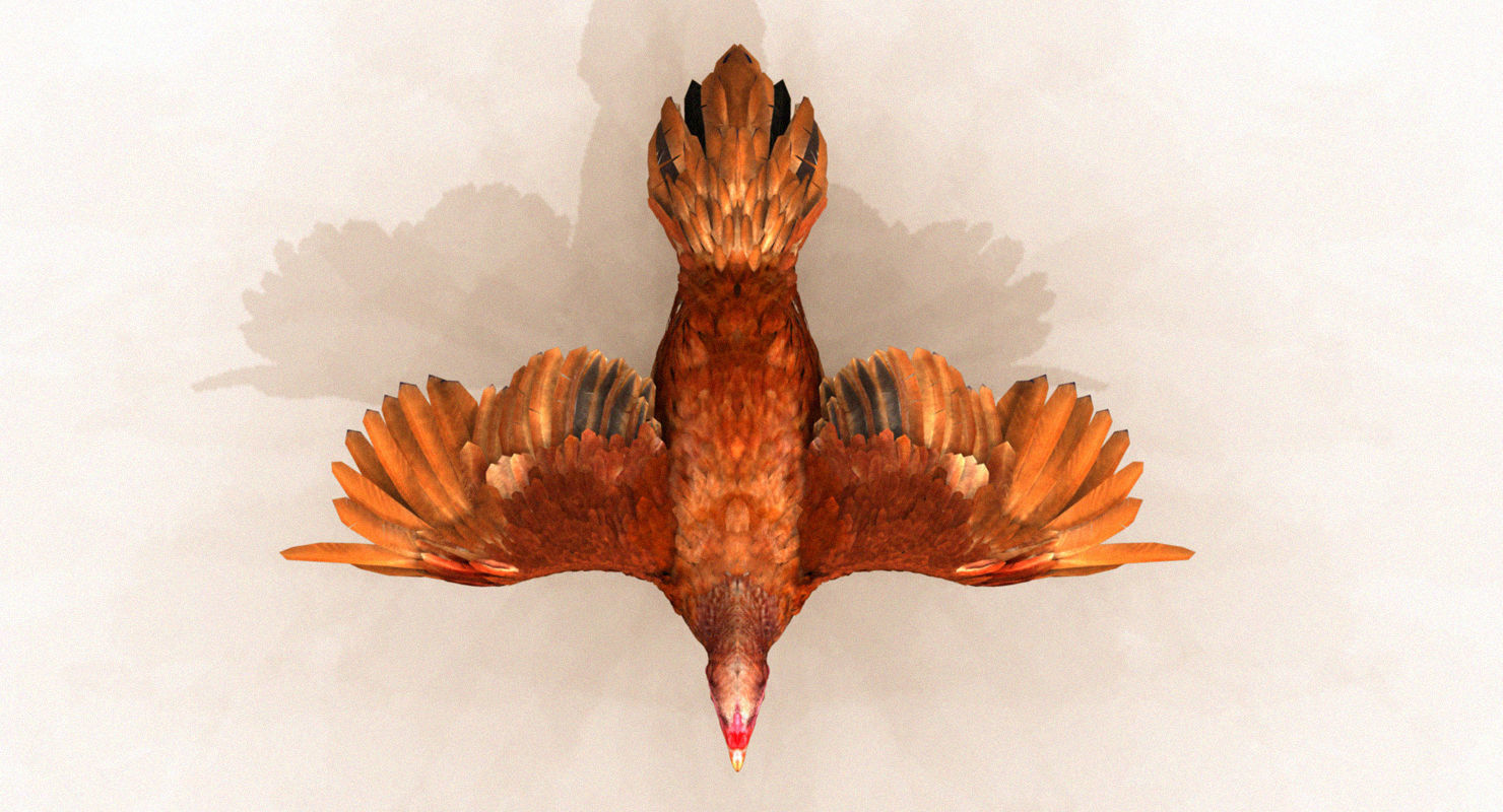 hen 3d hi details model 3D model_2