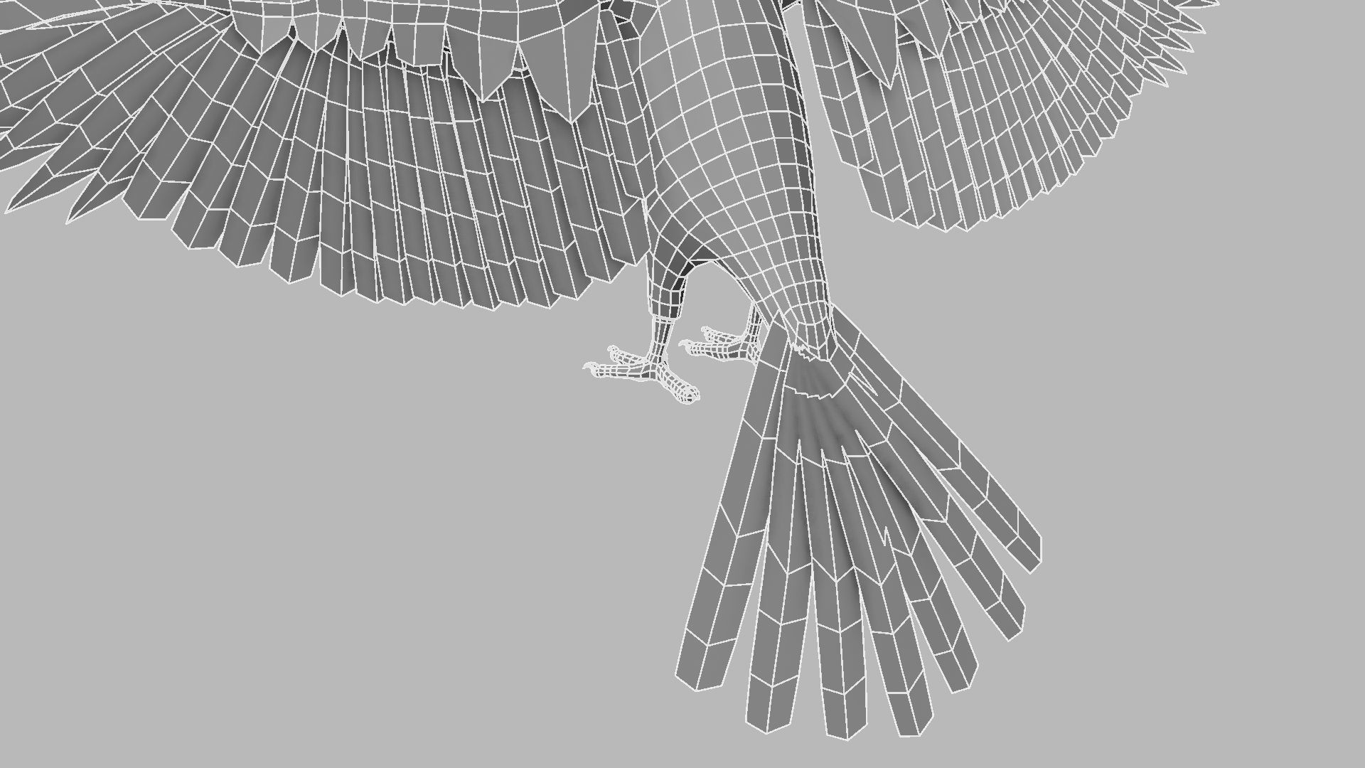 Kokila crow 3D model_34