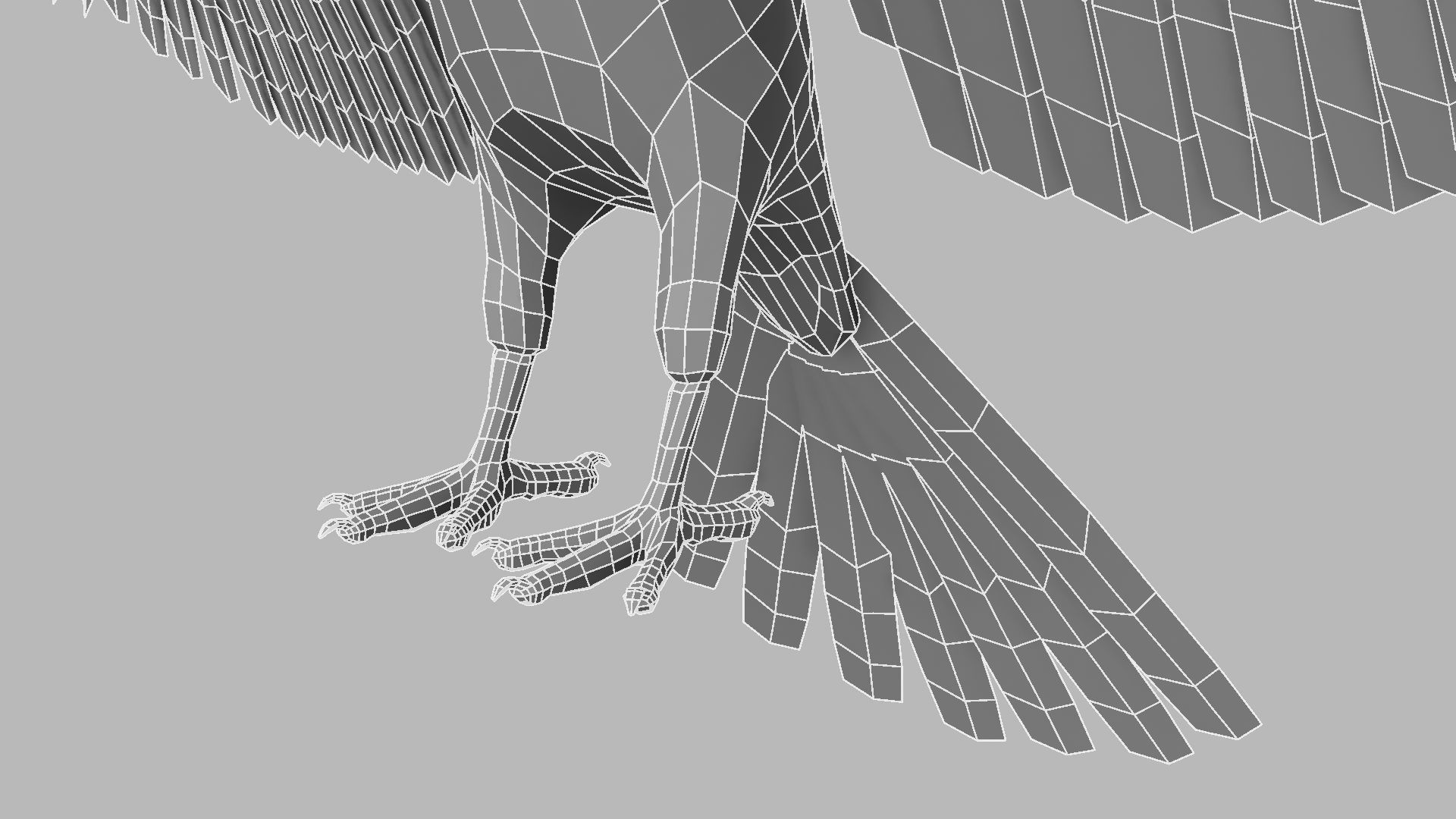 Kokila crow 3D model_31