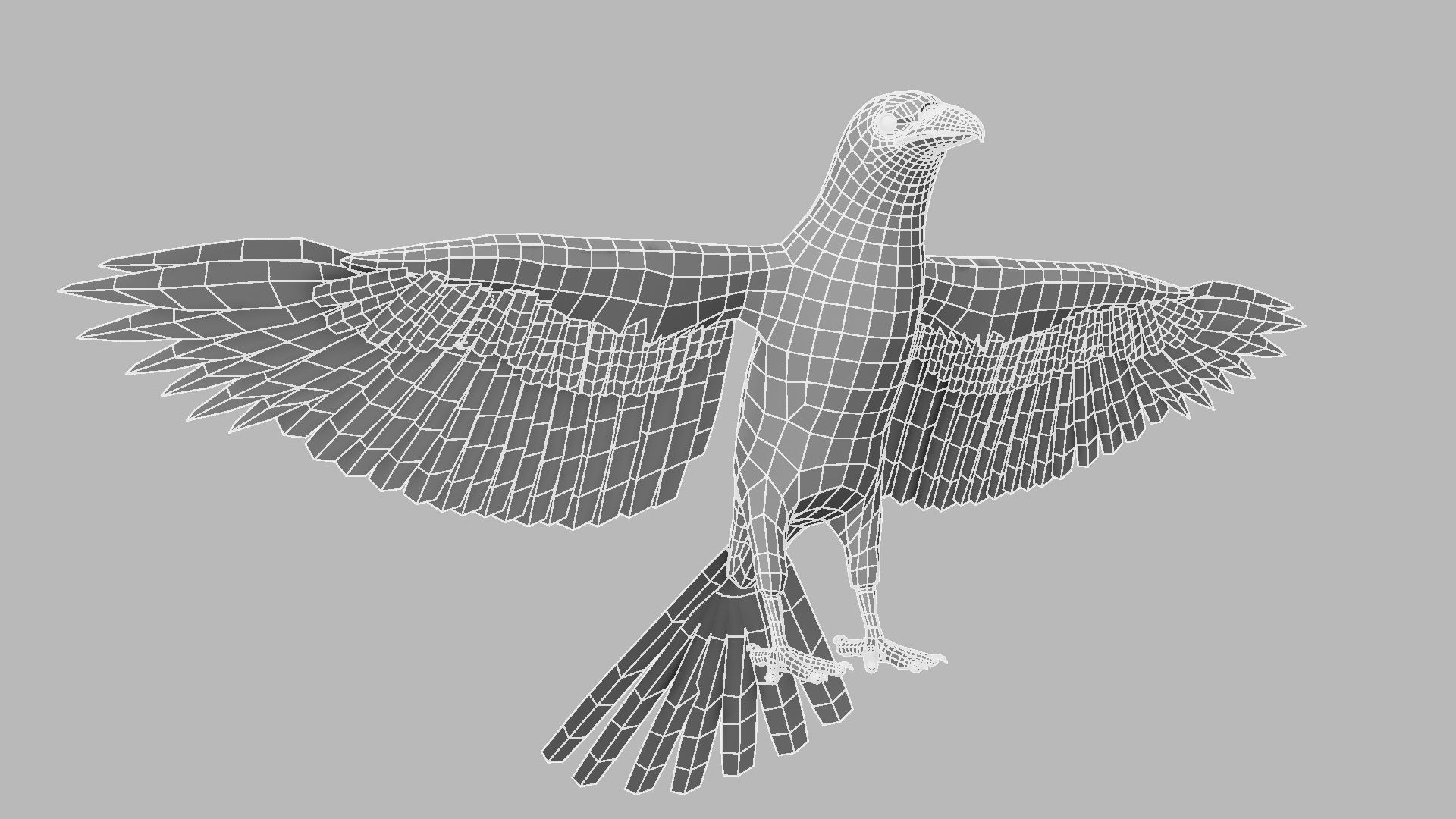 Kokila crow 3D model_21