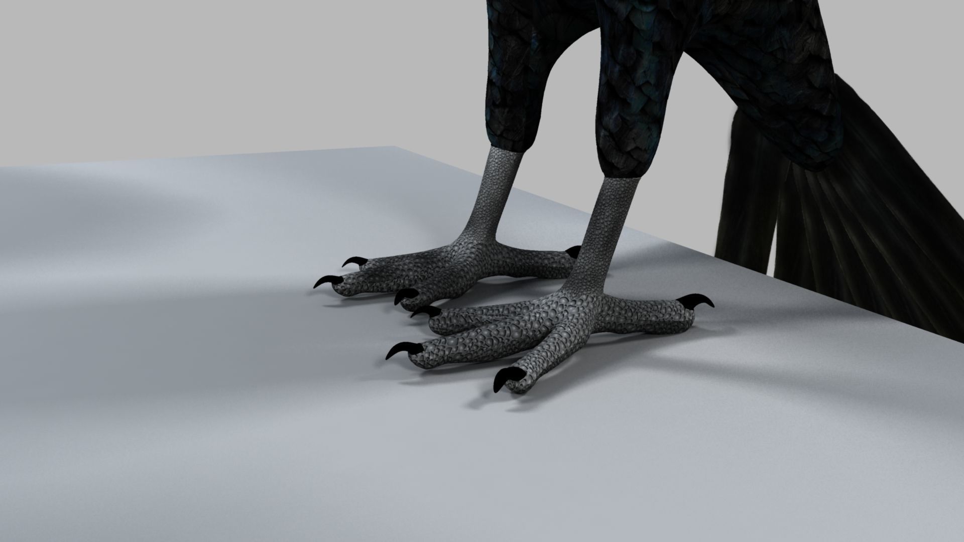 Kokila crow 3D model_15