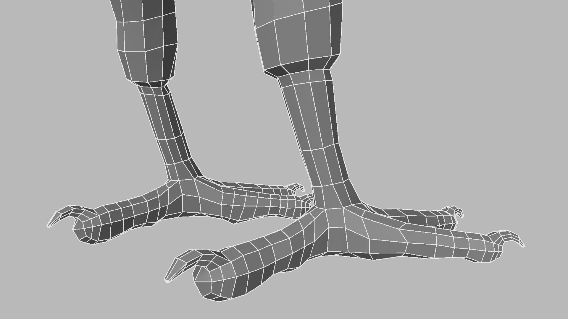 Kokila crow 3D model_28