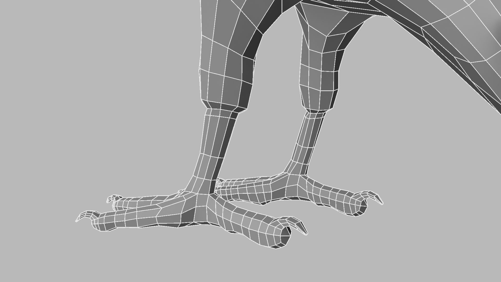 Kokila crow 3D model_27