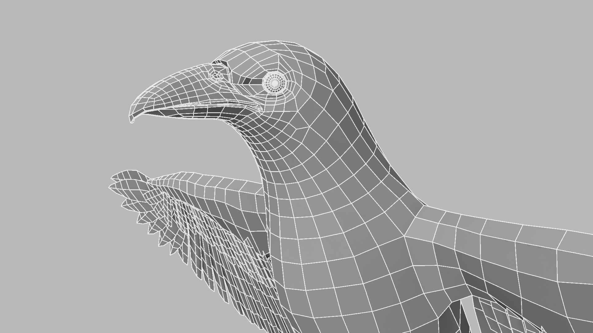 Kokila crow 3D model_20