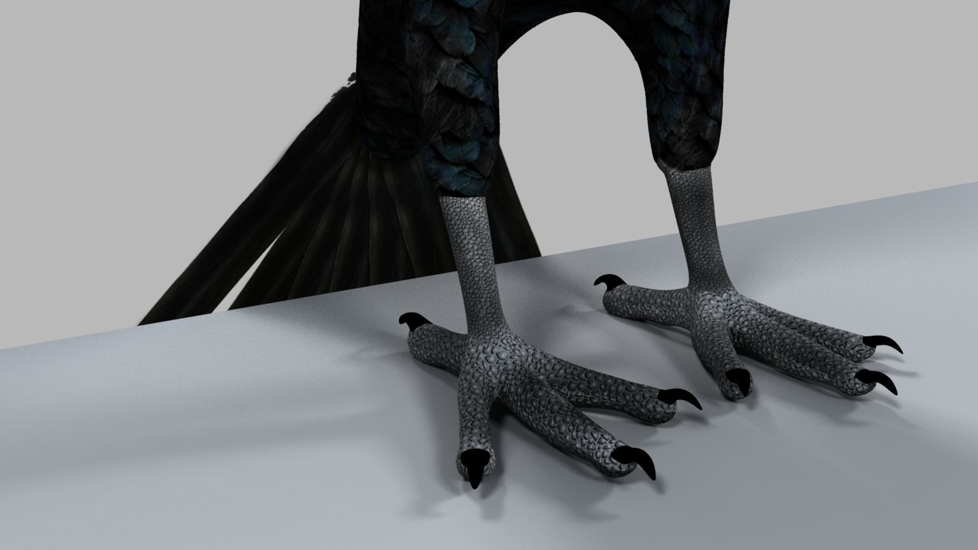 Kokila crow 3D model_10