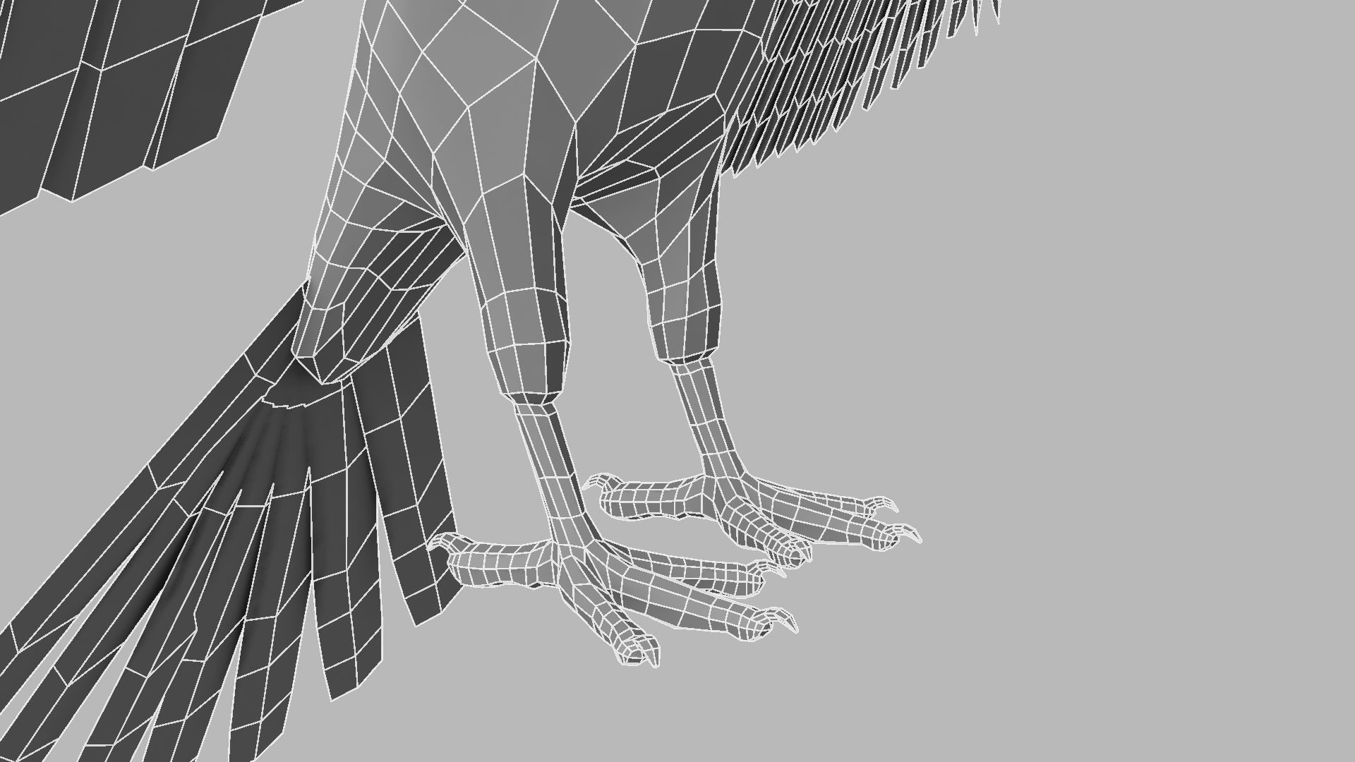 Kokila crow 3D model_33