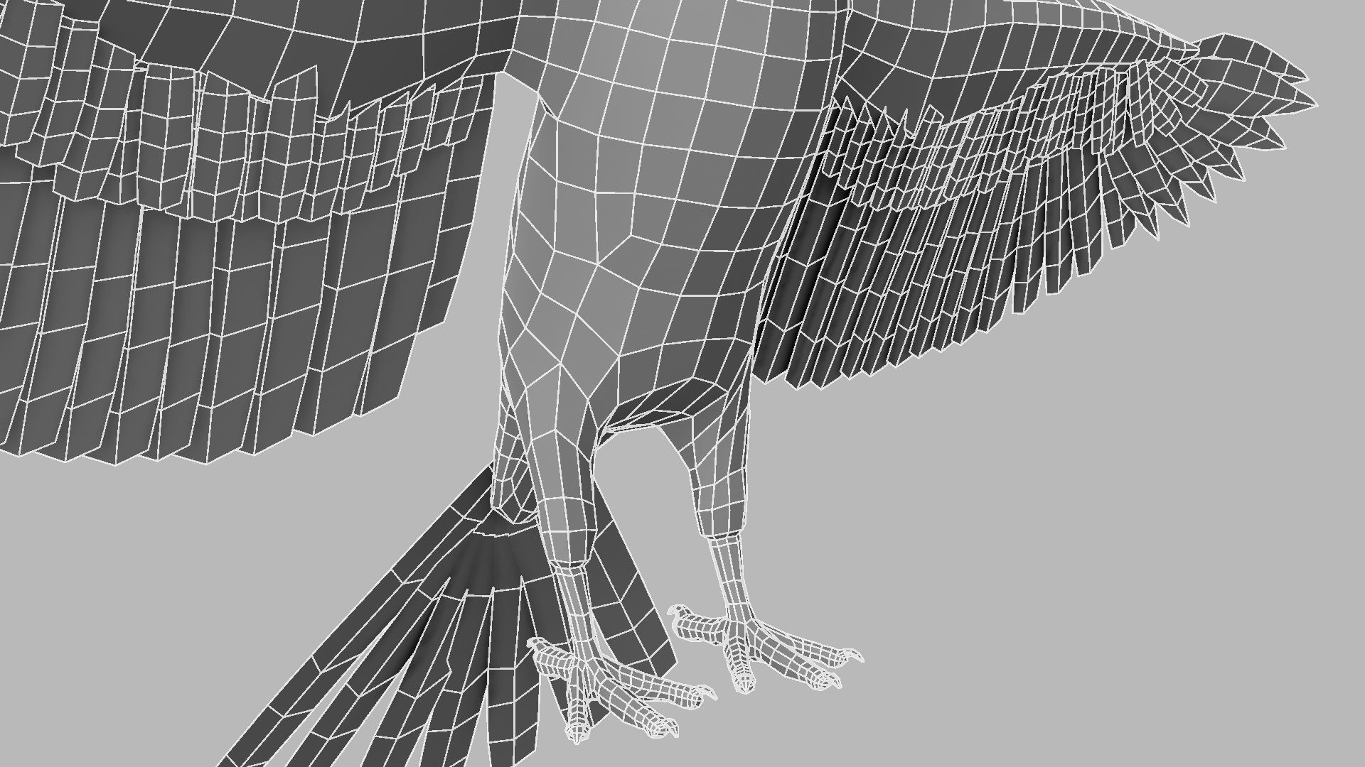 Kokila crow 3D model_22