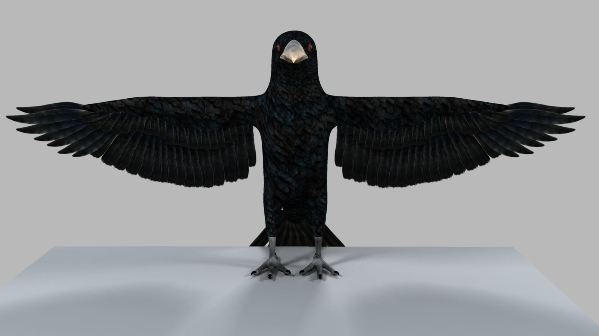 Kokila crow 3D model_6