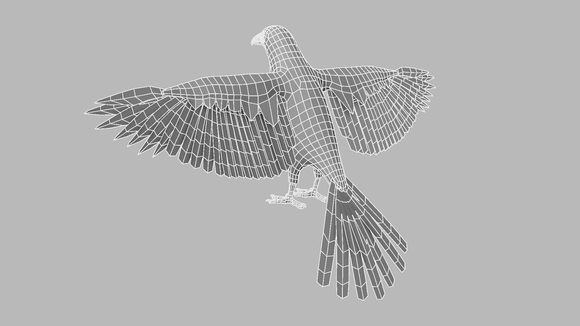 Kokila crow 3D model_17