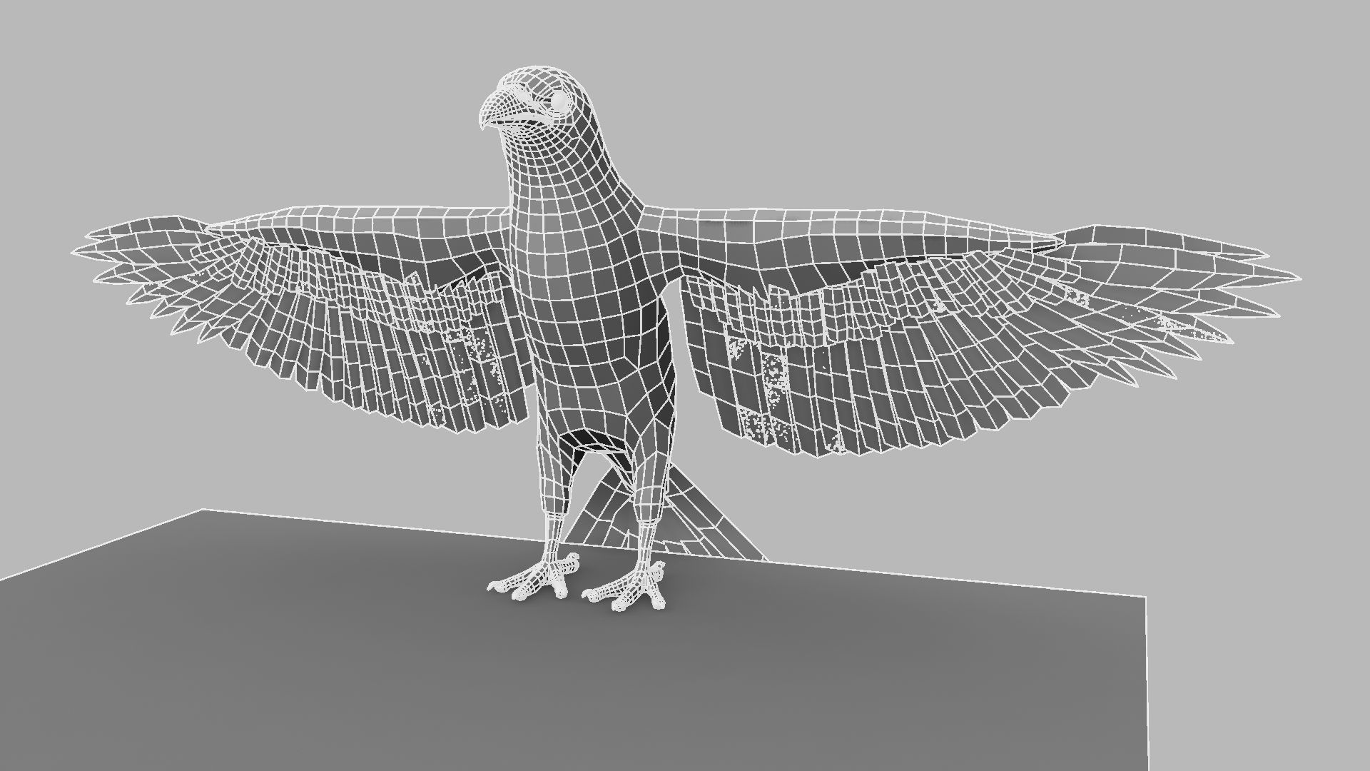 Kokila crow 3D model_16