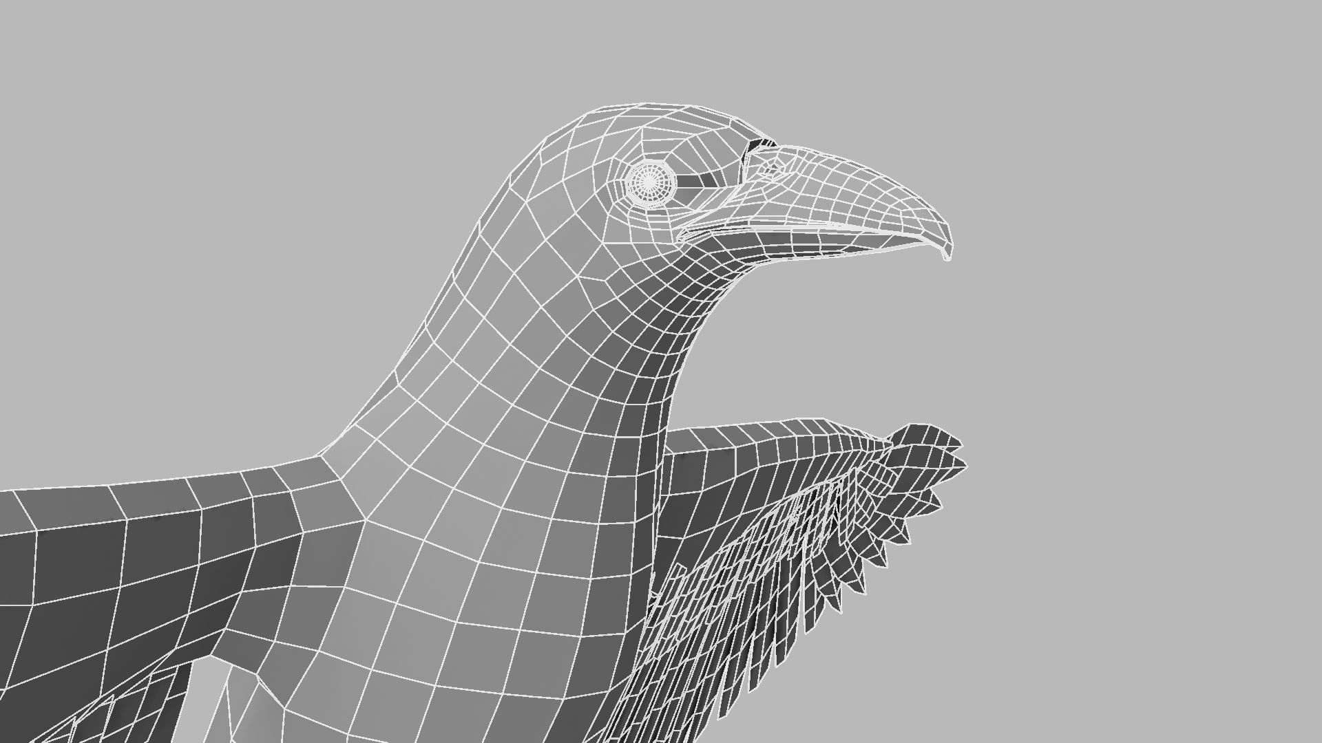 Kokila crow 3D model_19