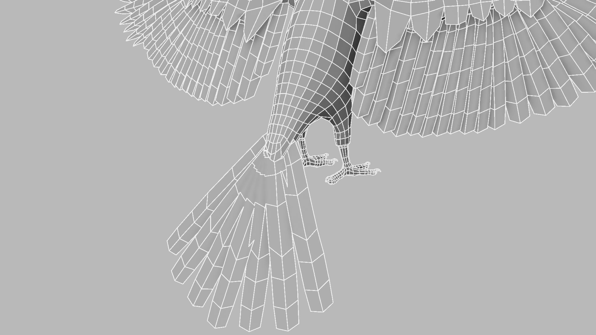 Kokila crow 3D model_32