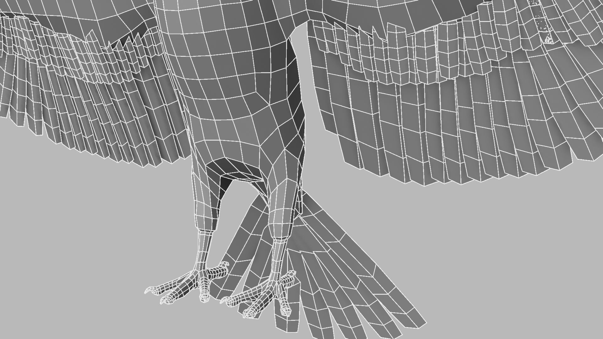 Kokila crow 3D model_23