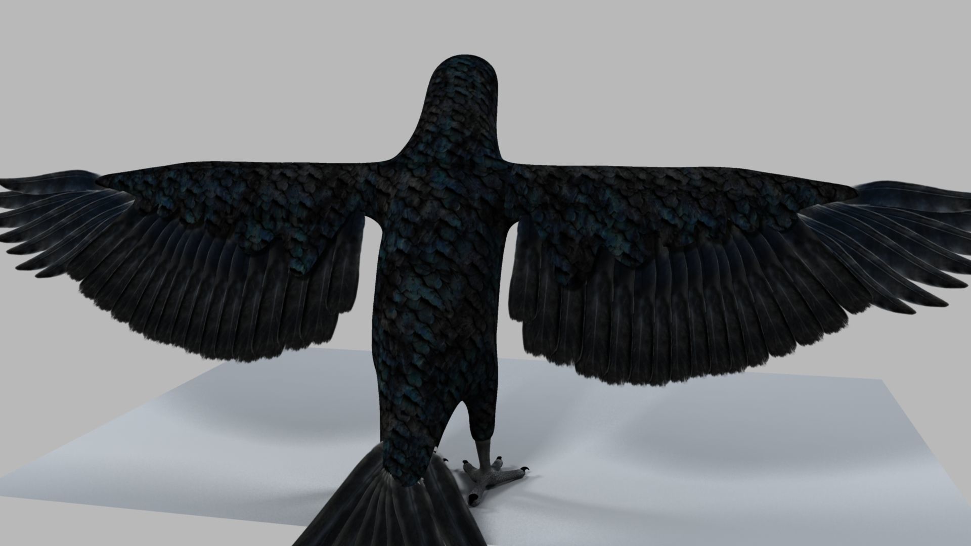 Kokila crow 3D model_7