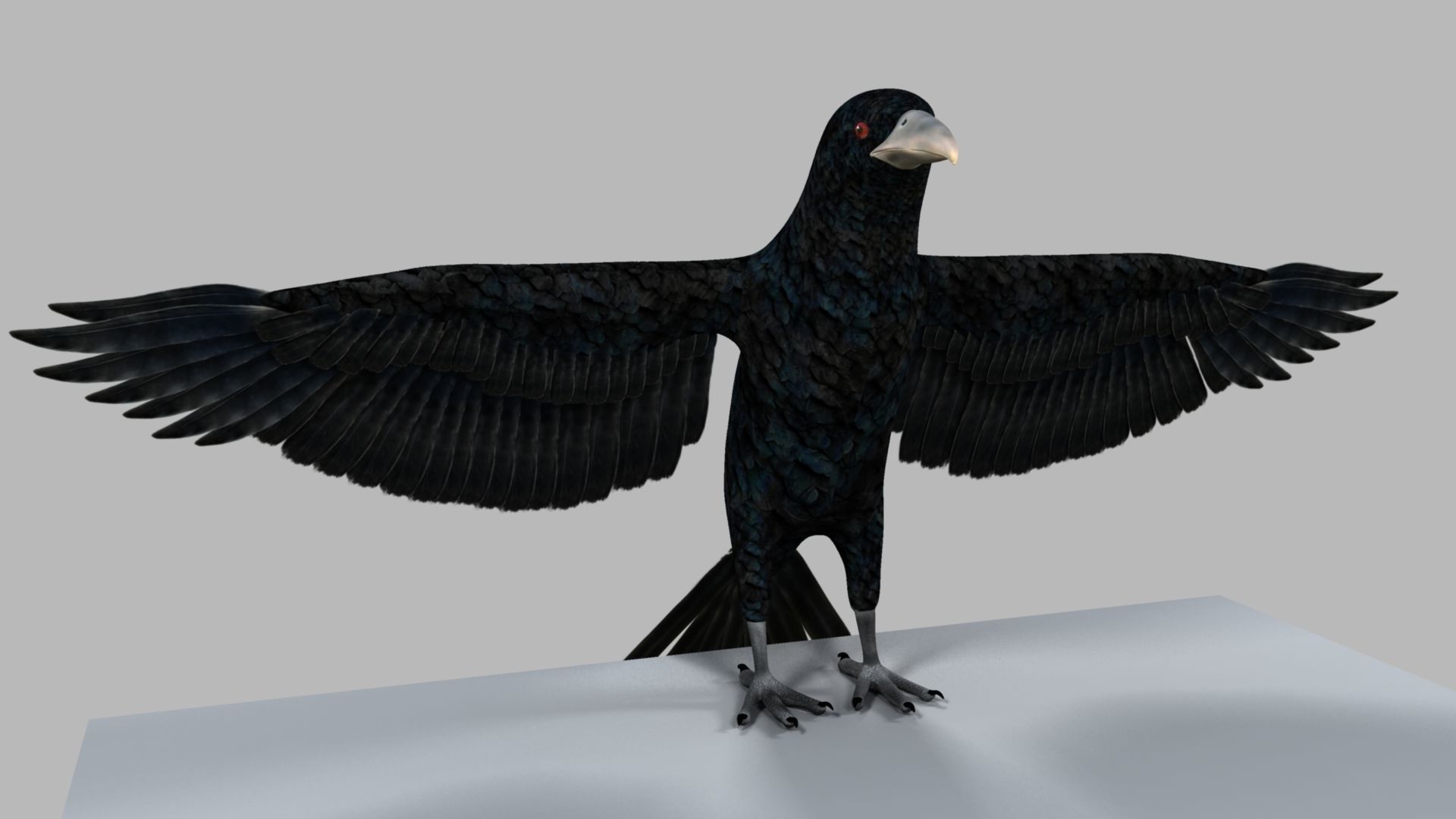 Kokila crow 3D model_2