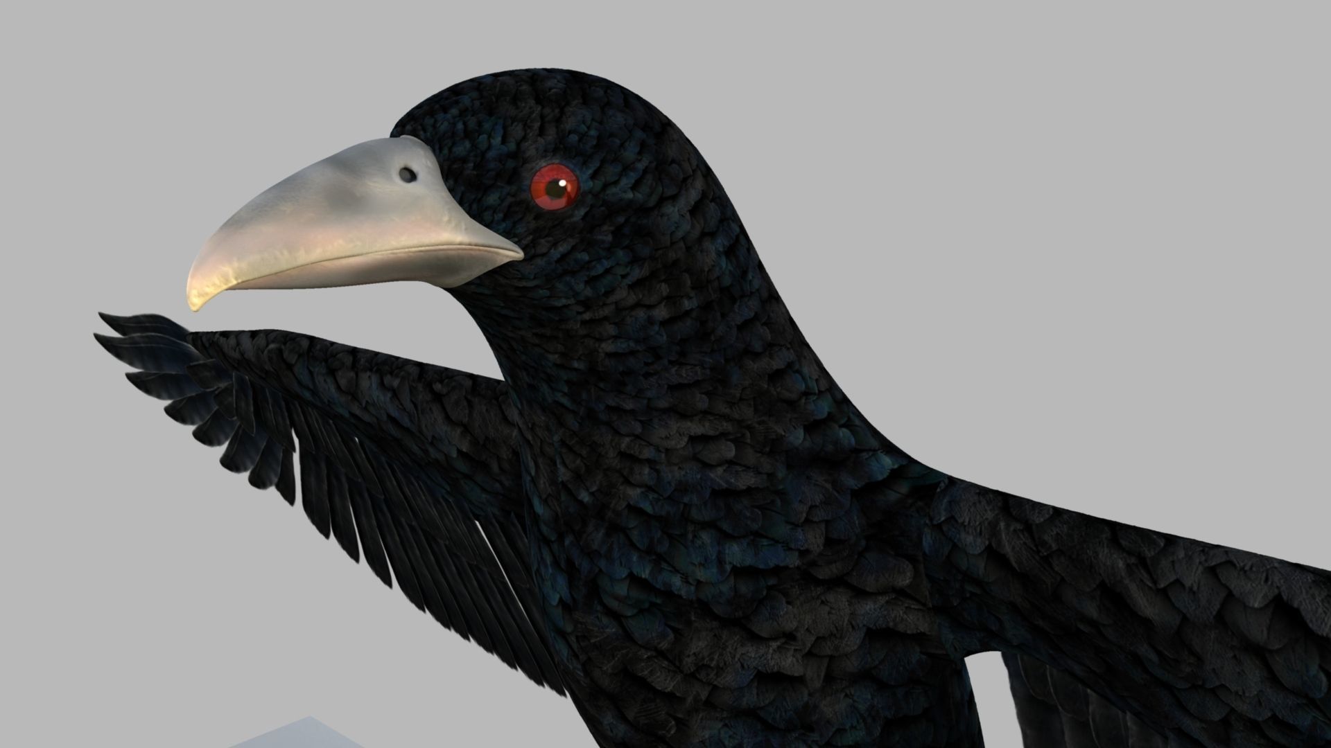 Kokila crow 3D model_4