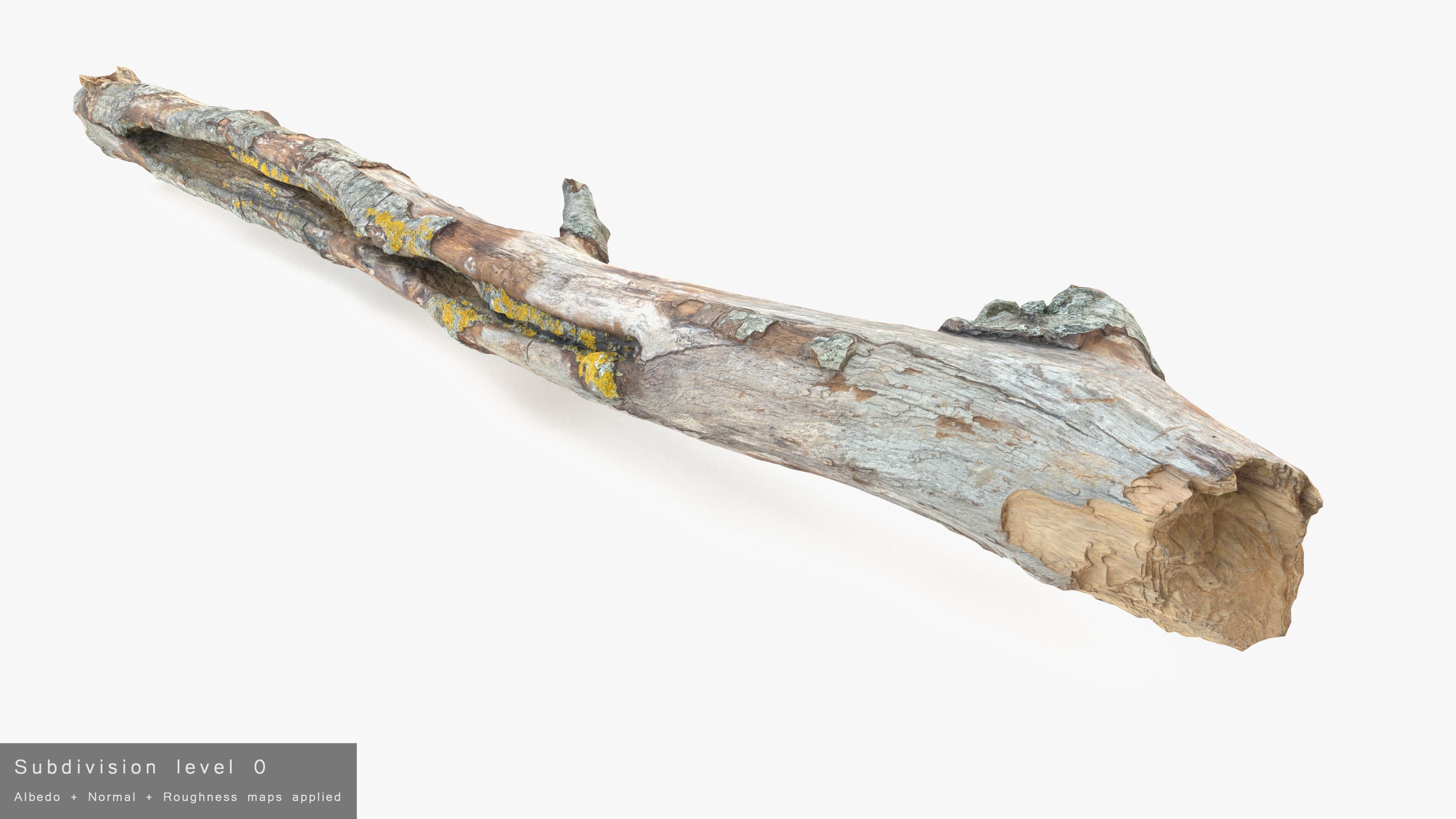 Long Weathered Alder Log Low-poly 3D model_22