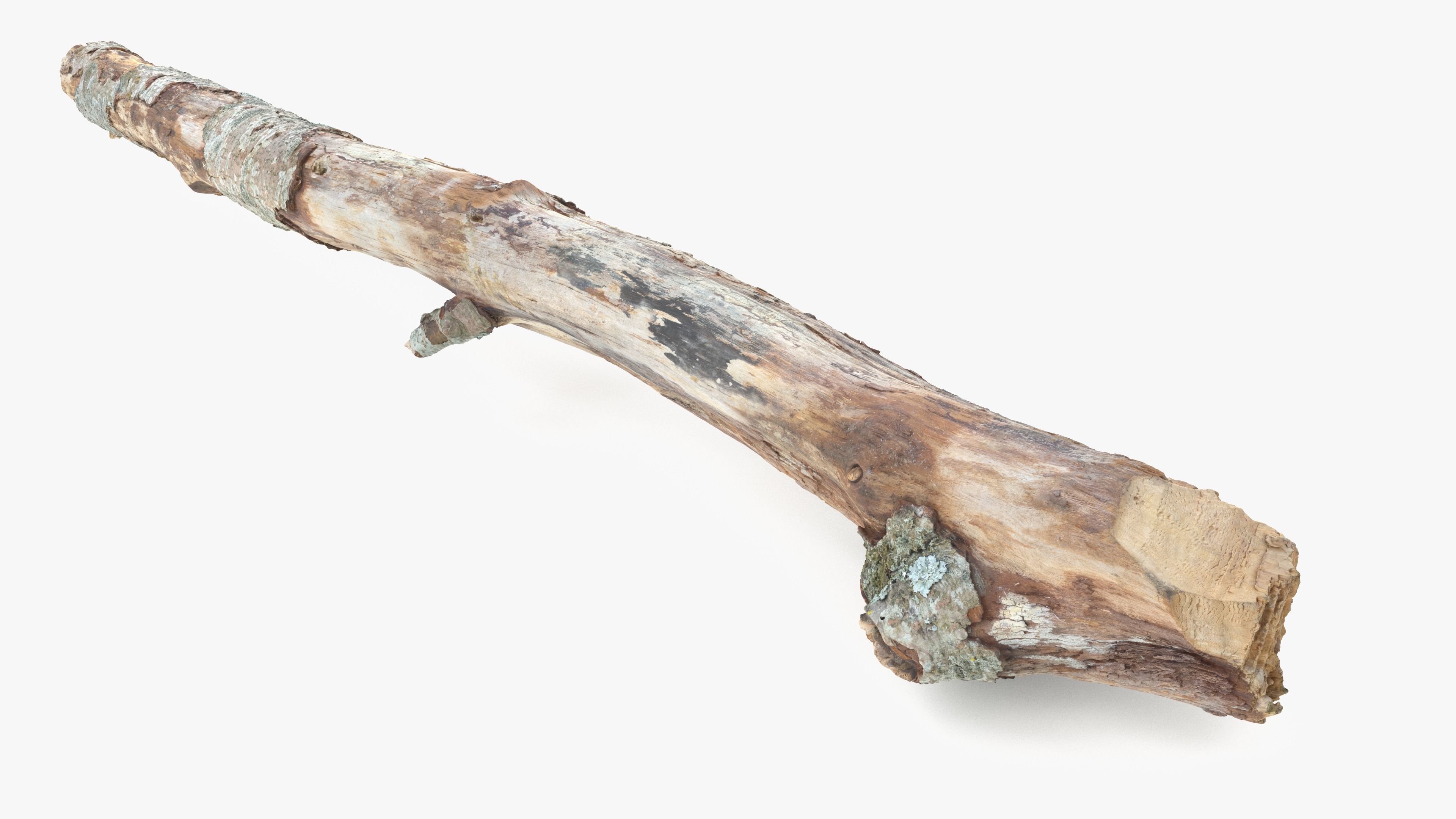 Long Weathered Alder Log Low-poly 3D model_19