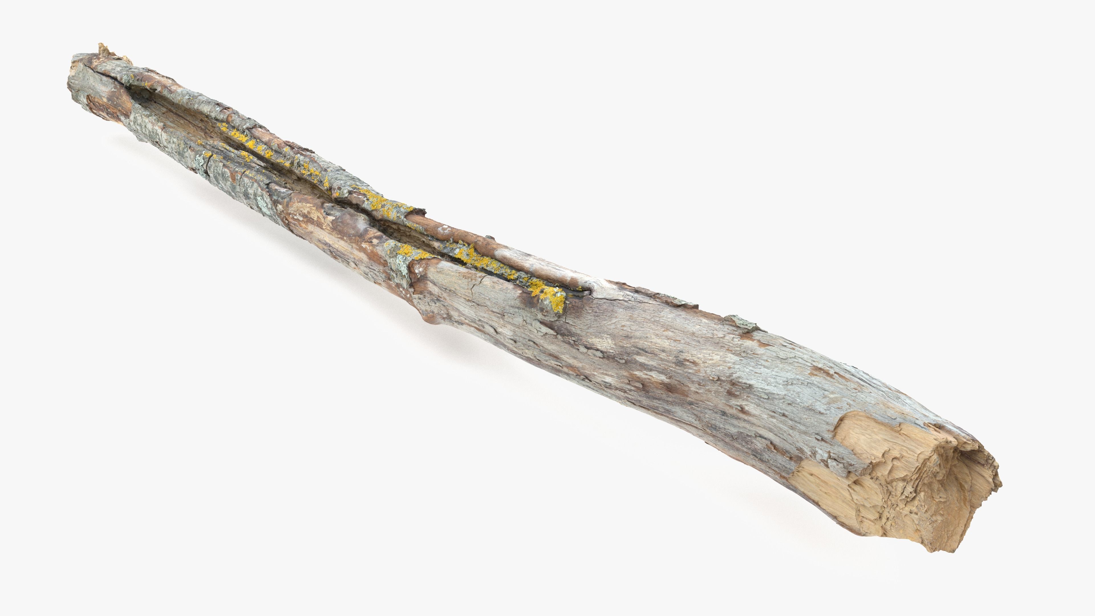 Long Weathered Alder Log Low-poly 3D model_1