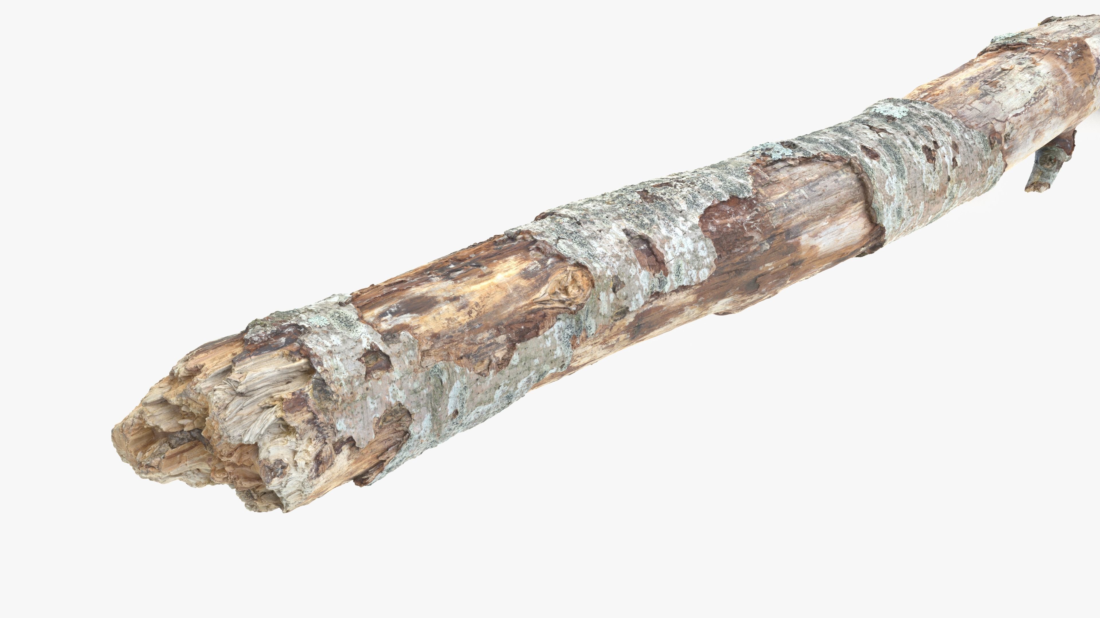 Long Weathered Alder Log Low-poly 3D model_9
