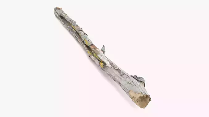 Long Weathered Alder Log Low-poly 3D model