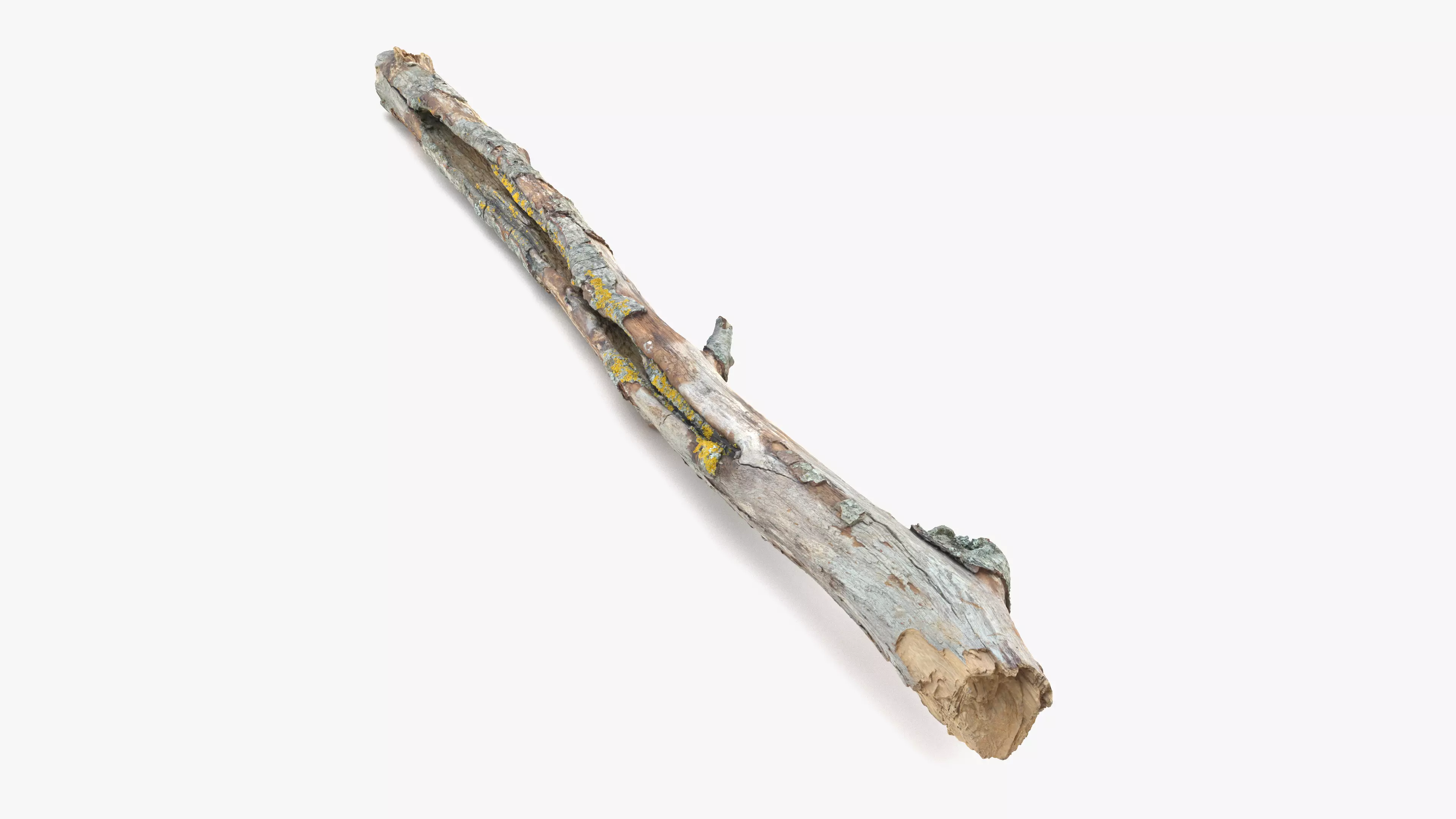 Long Weathered Alder Log Low-poly 3D model_0