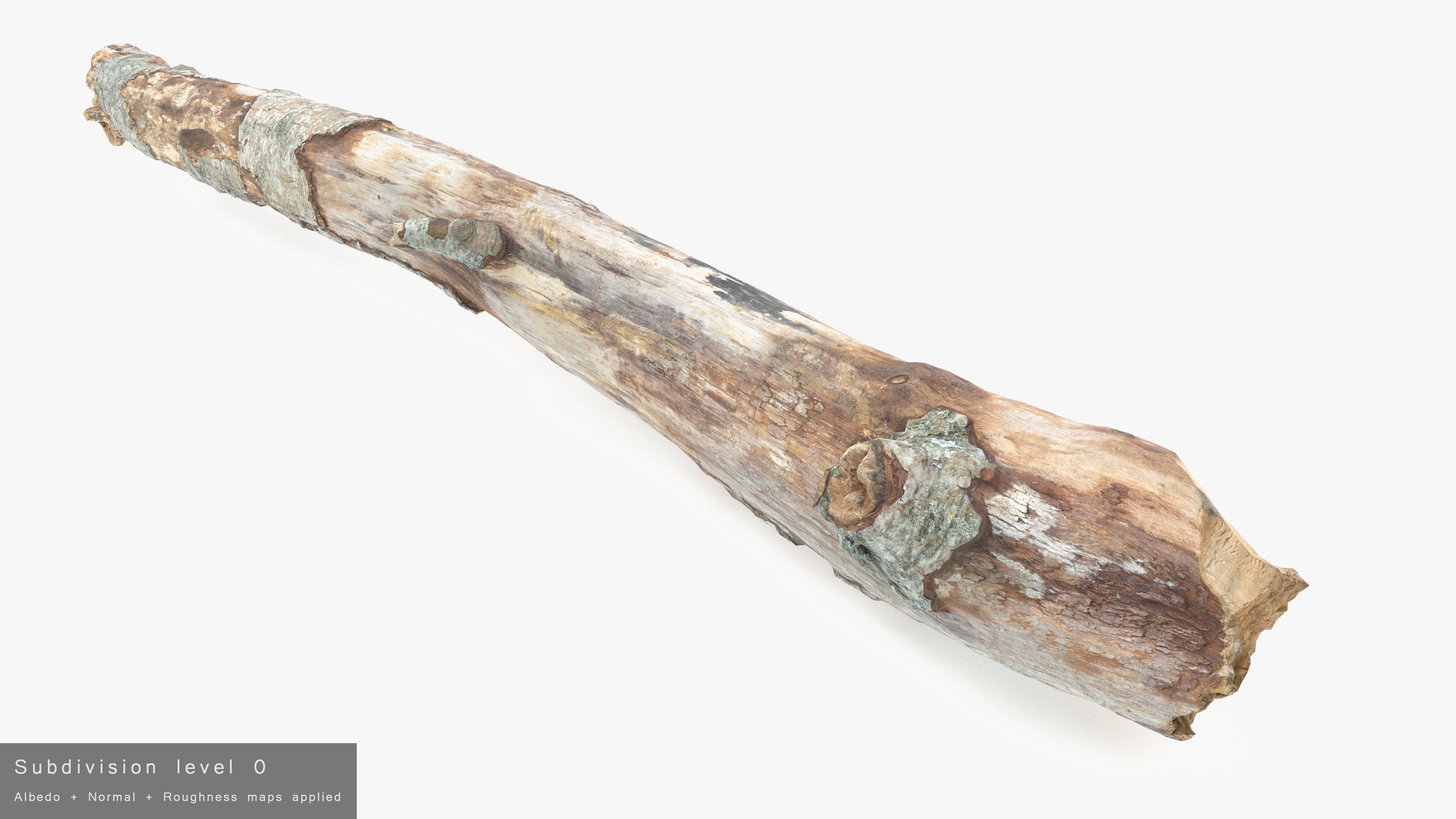 Long Weathered Alder Log Low-poly 3D model_24