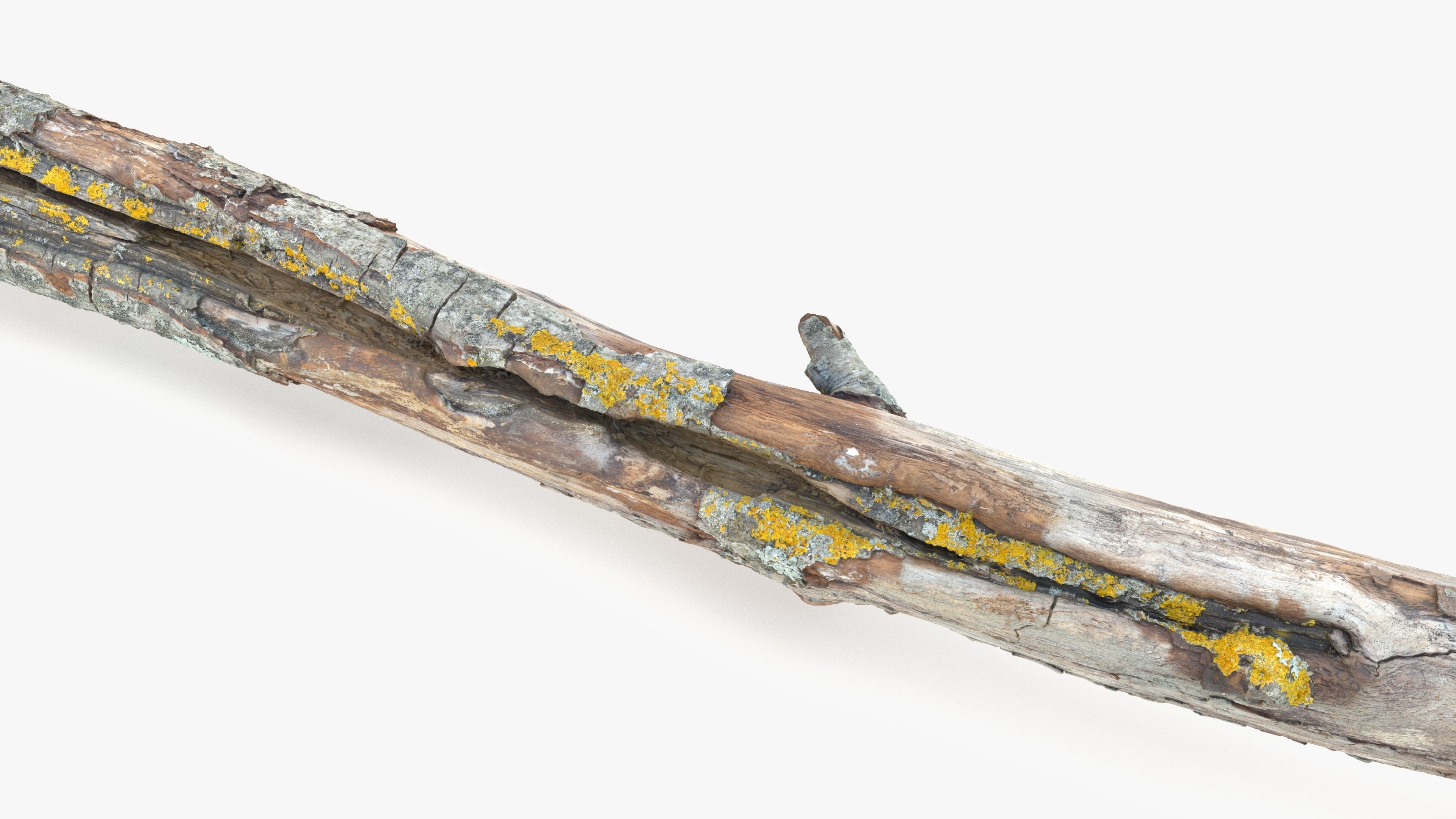 Long Weathered Alder Log Low-poly 3D model_4