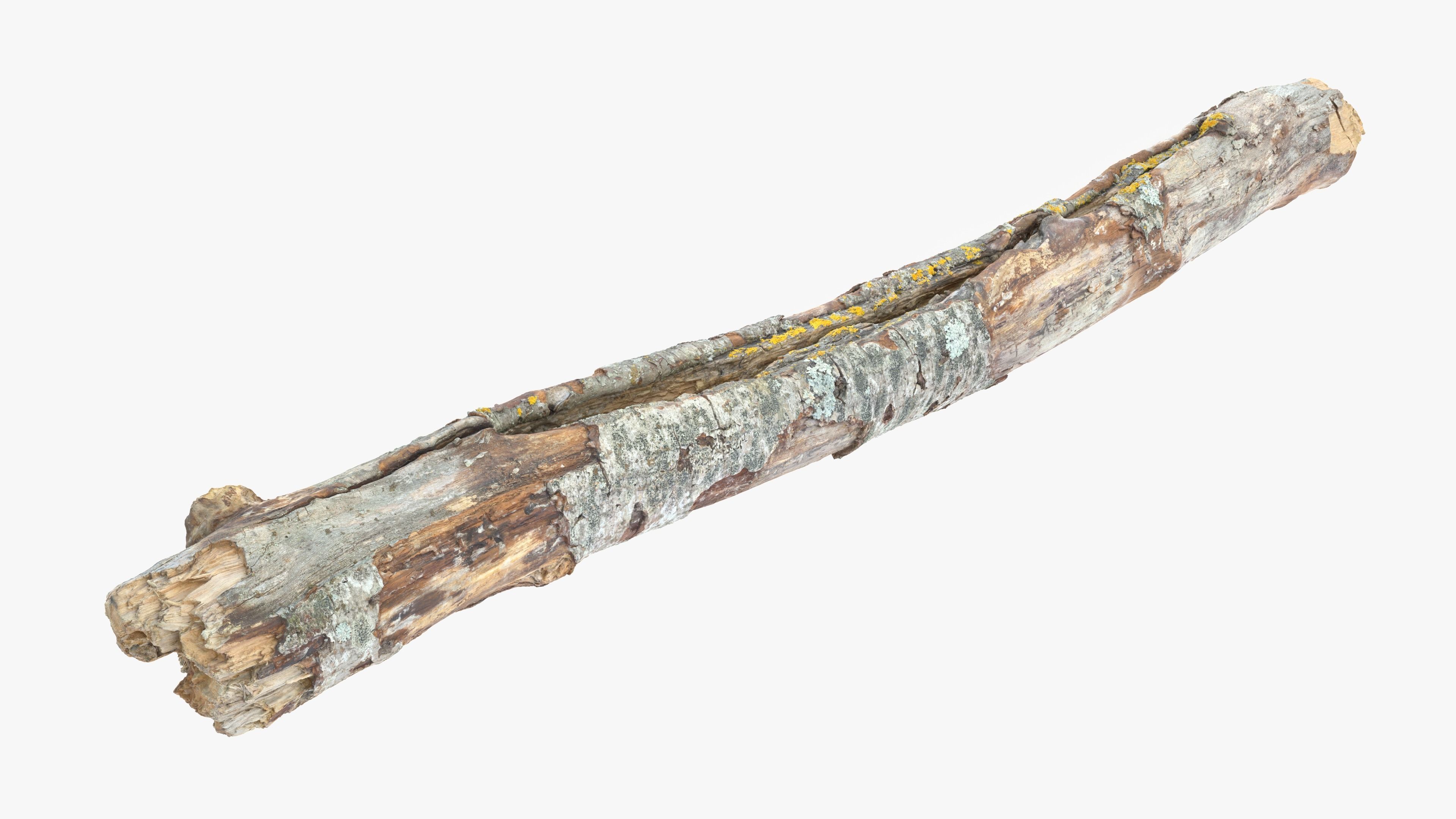 Long Weathered Alder Log Low-poly 3D model_13