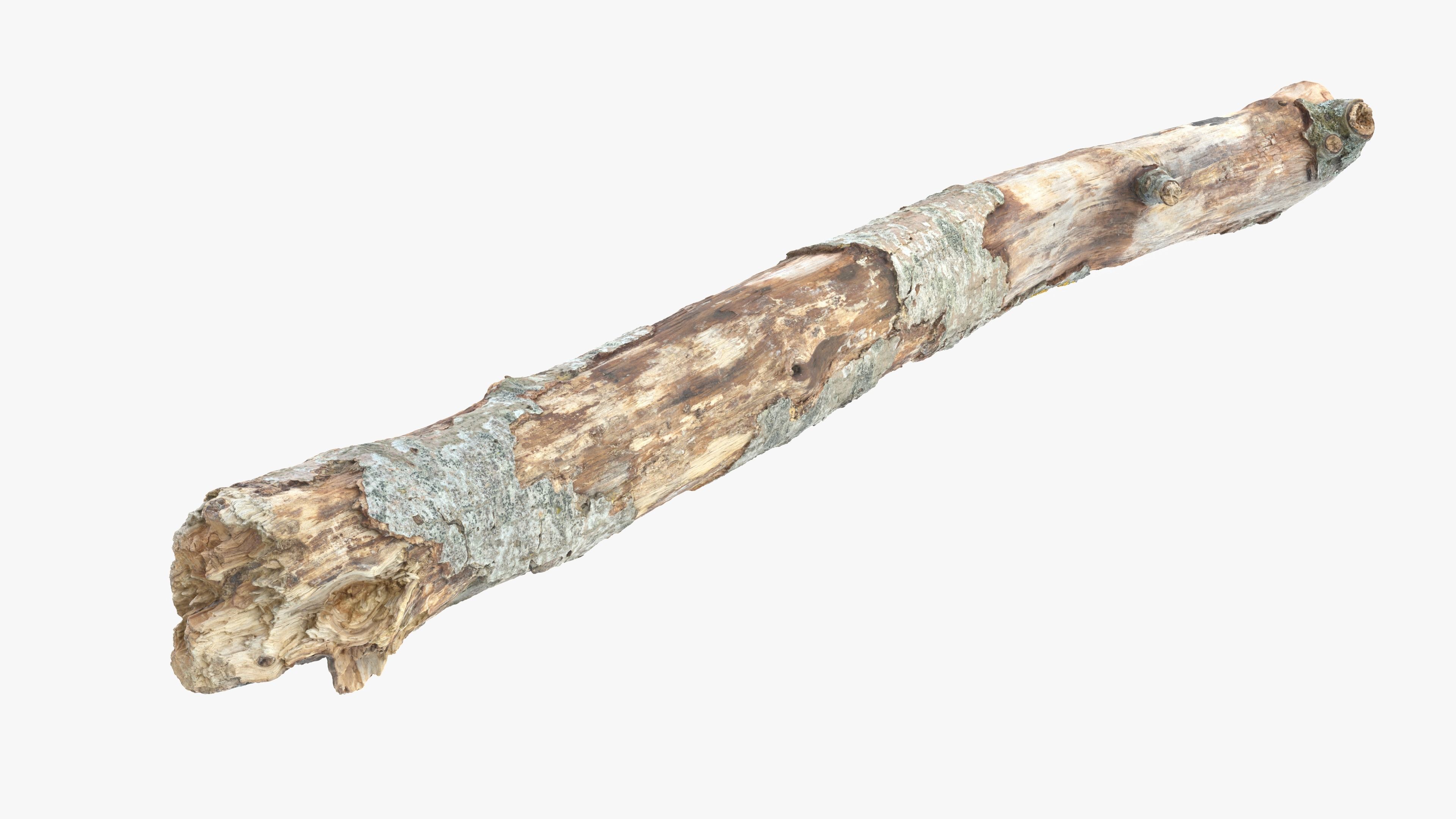 Long Weathered Alder Log Low-poly 3D model_14