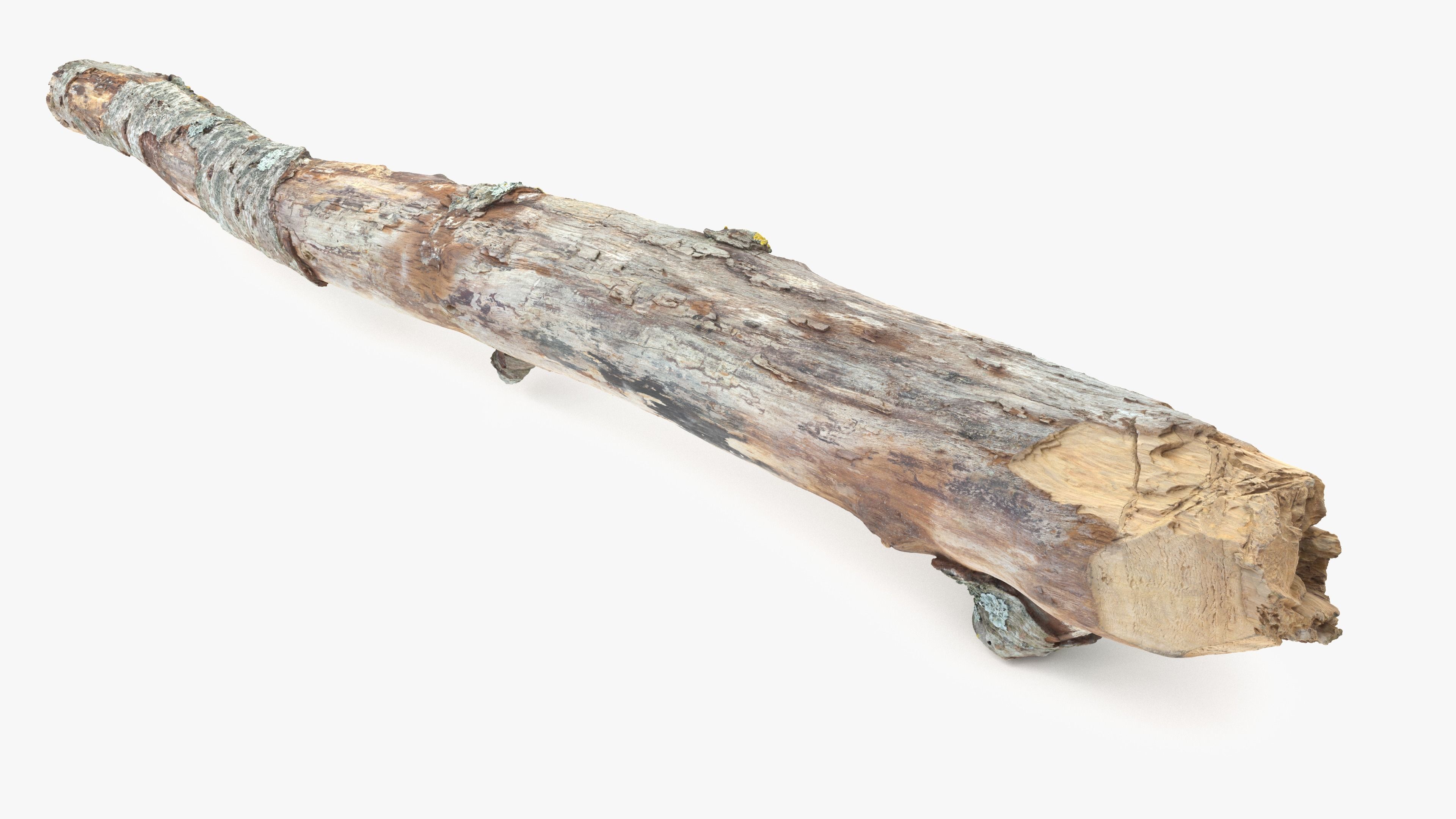 Long Weathered Alder Log Low-poly 3D model_20