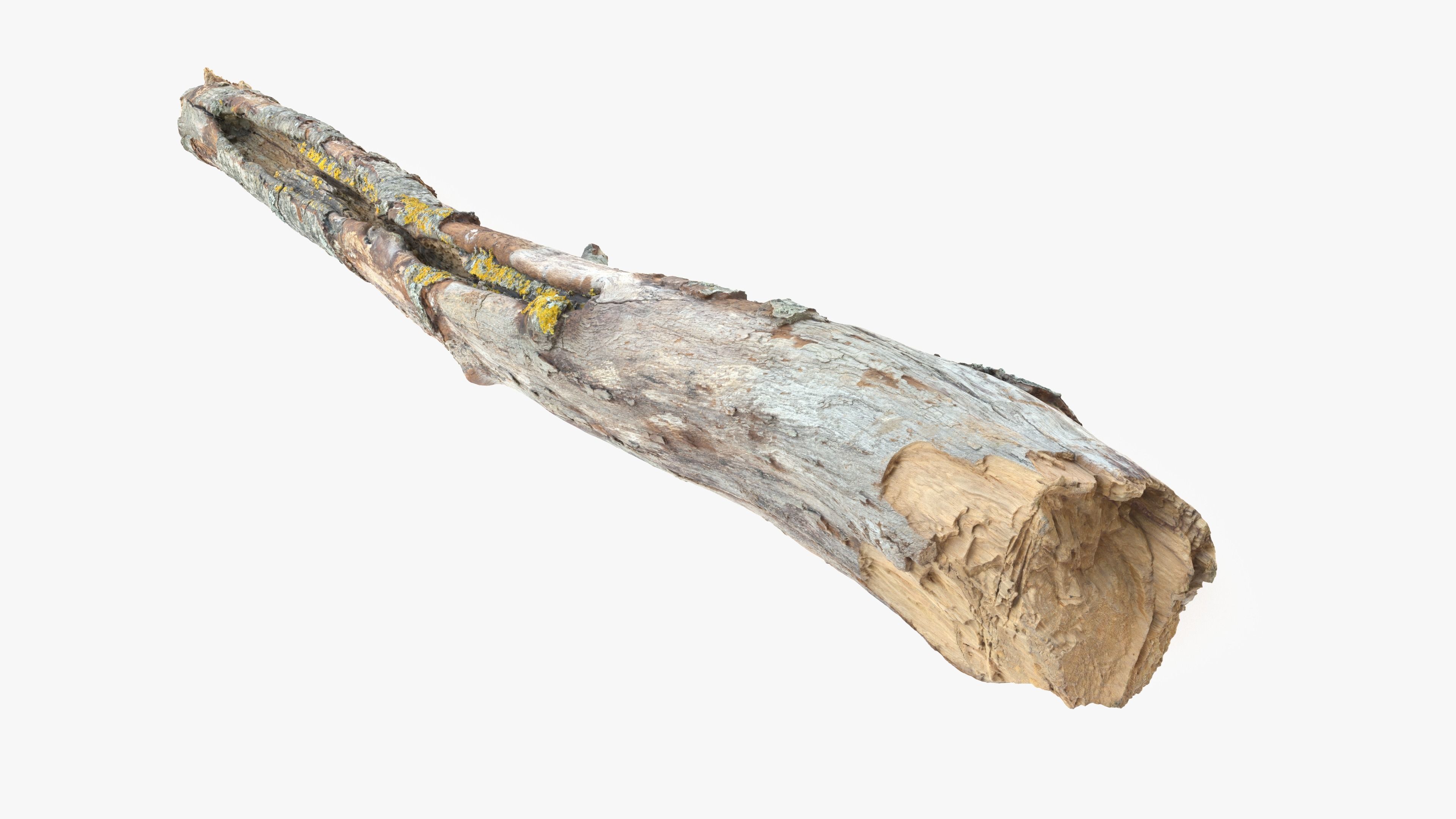 Long Weathered Alder Log Low-poly 3D model_2