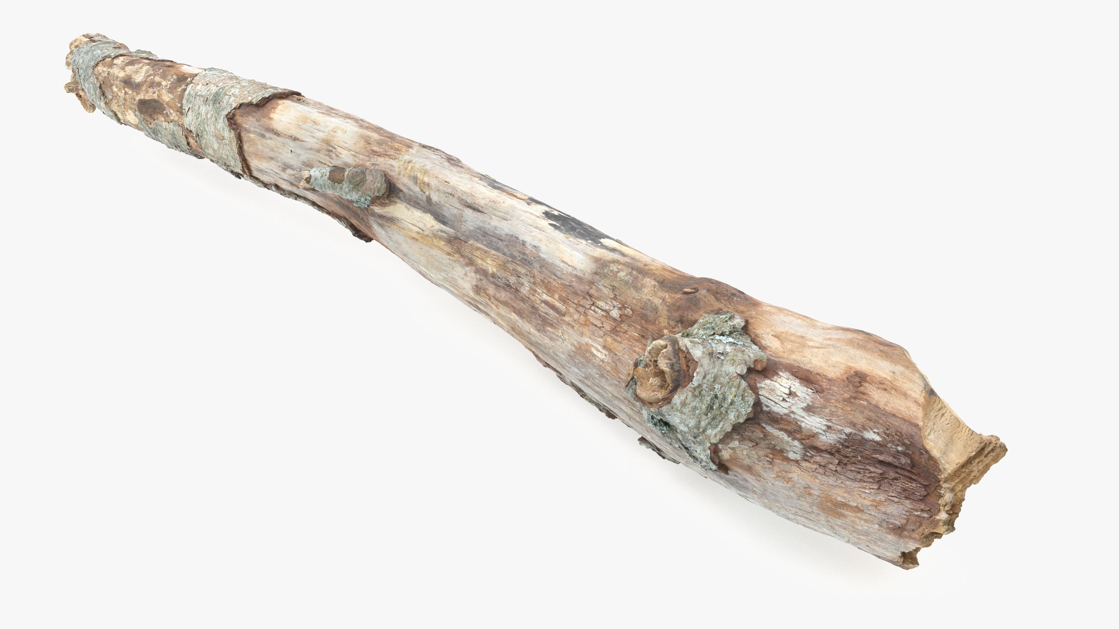 Long Weathered Alder Log Low-poly 3D model_18