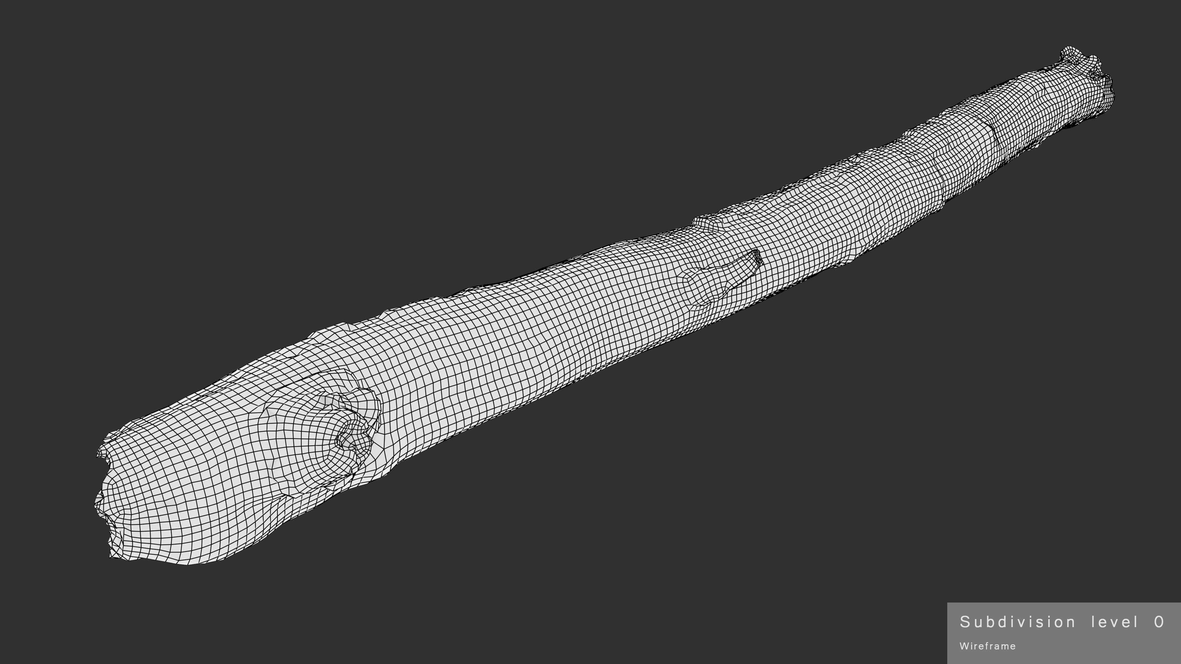 Long Weathered Alder Log Low-poly 3D model_31