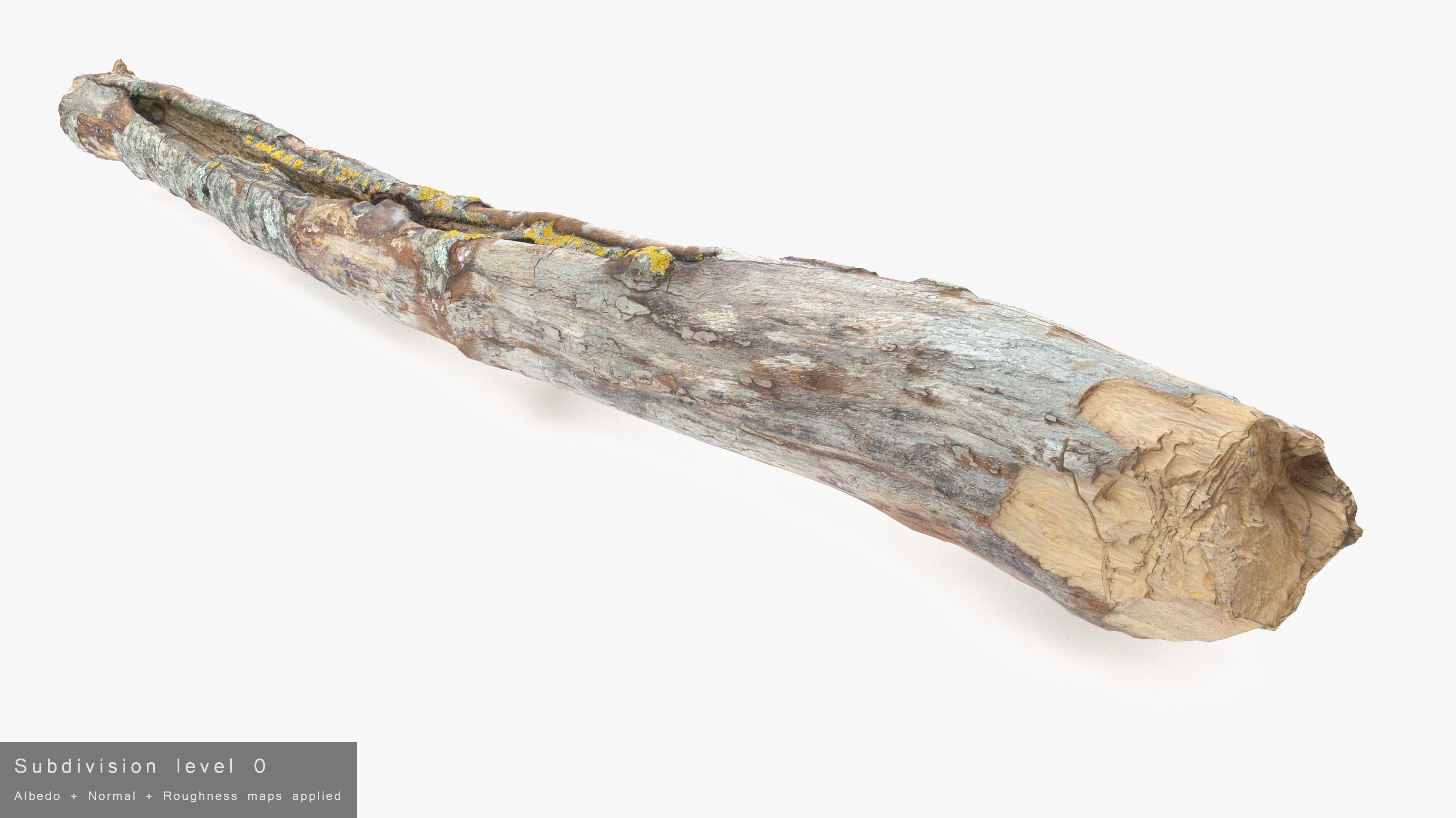 Long Weathered Alder Log Low-poly 3D model_27