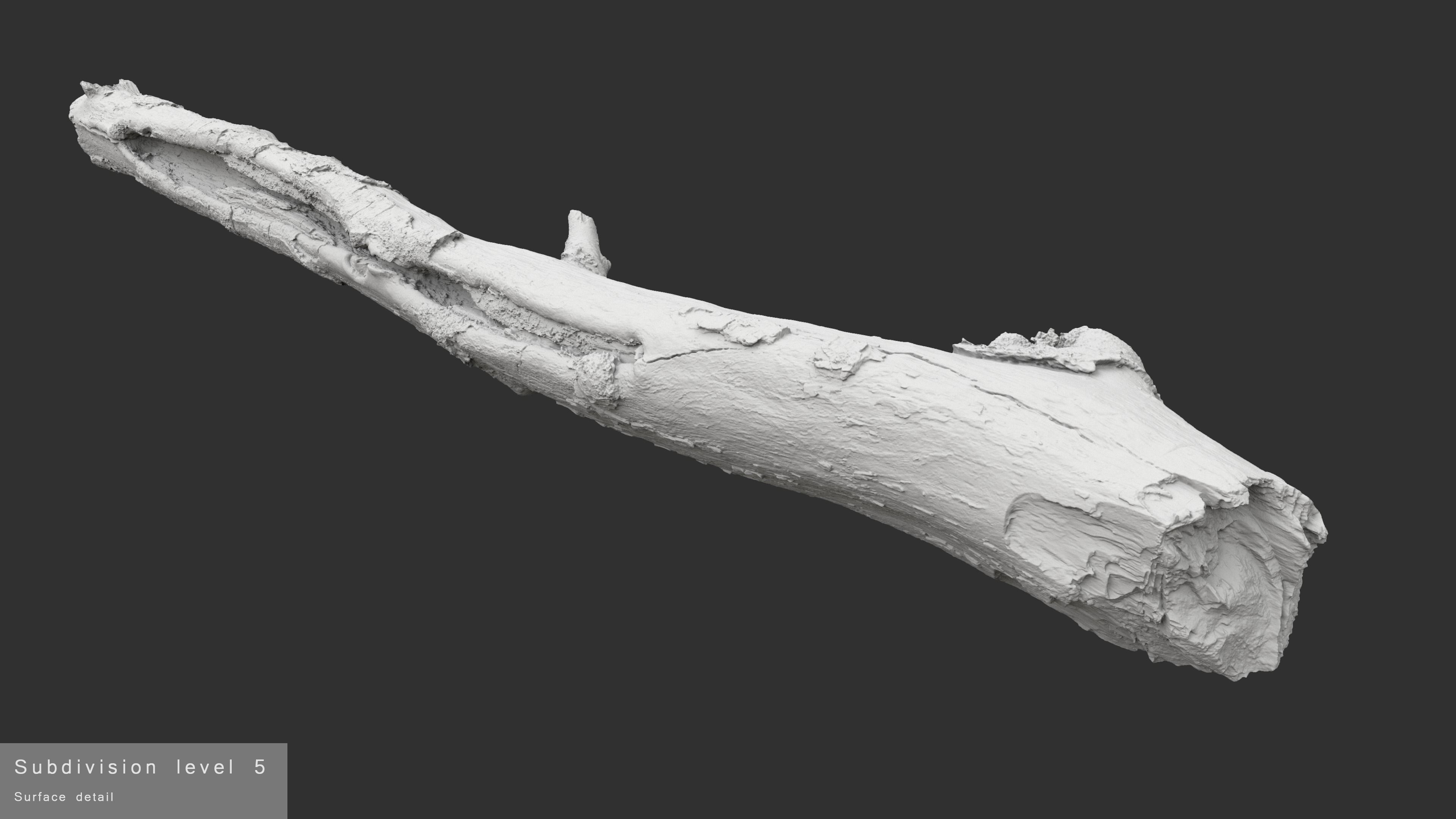 Long Weathered Alder Log Low-poly 3D model_21