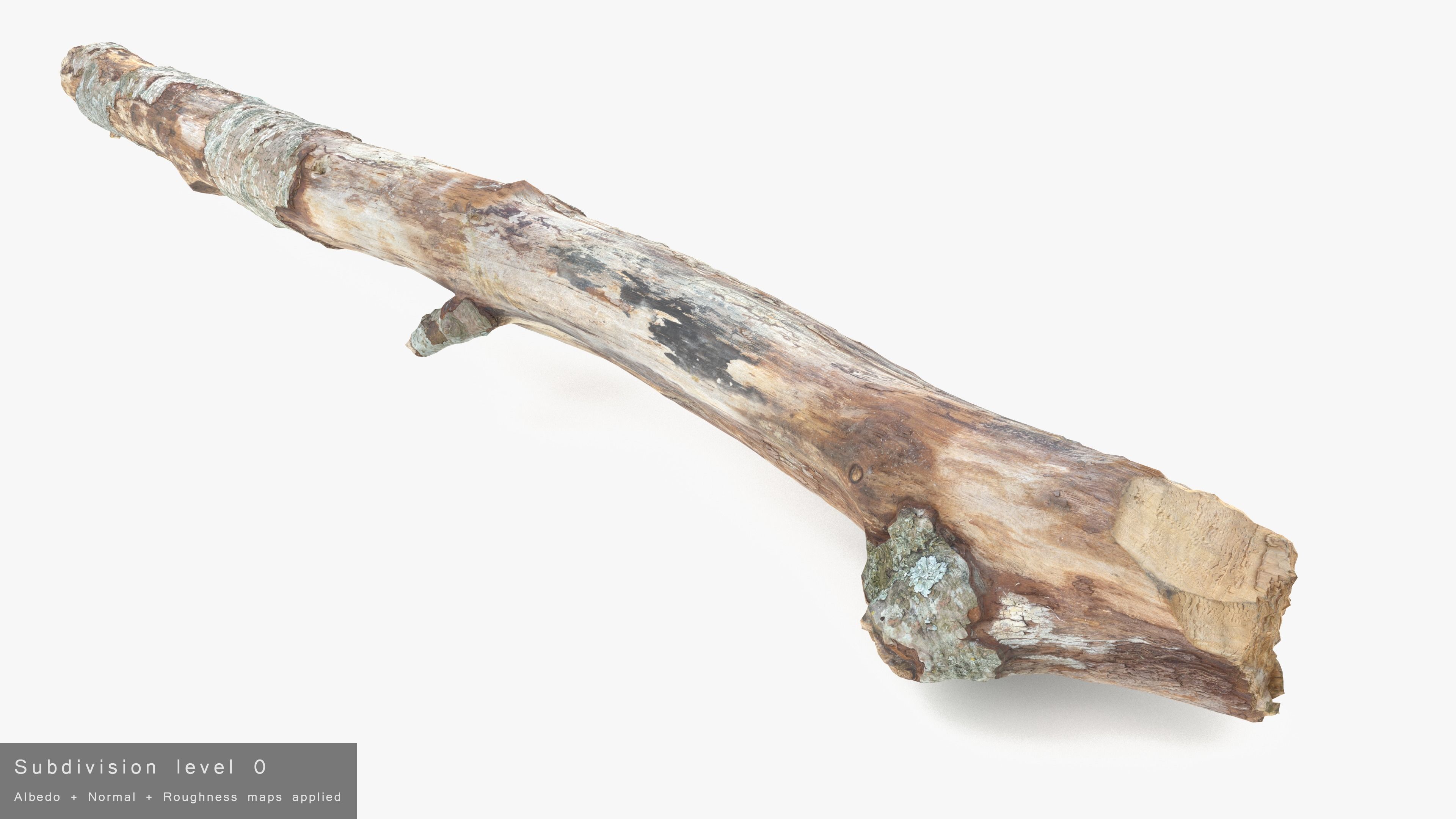 Long Weathered Alder Log Low-poly 3D model_25