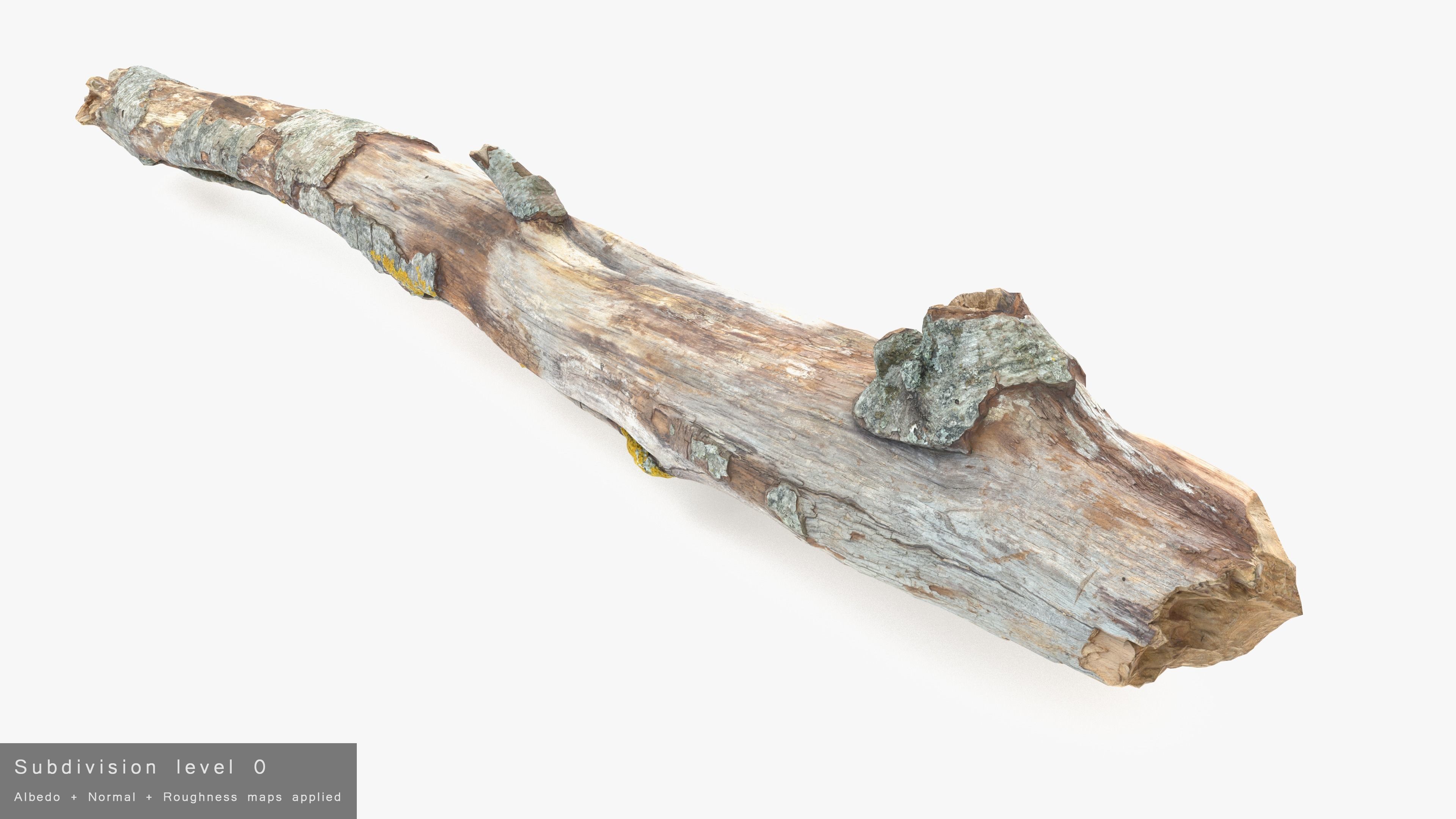 Long Weathered Alder Log Low-poly 3D model_23