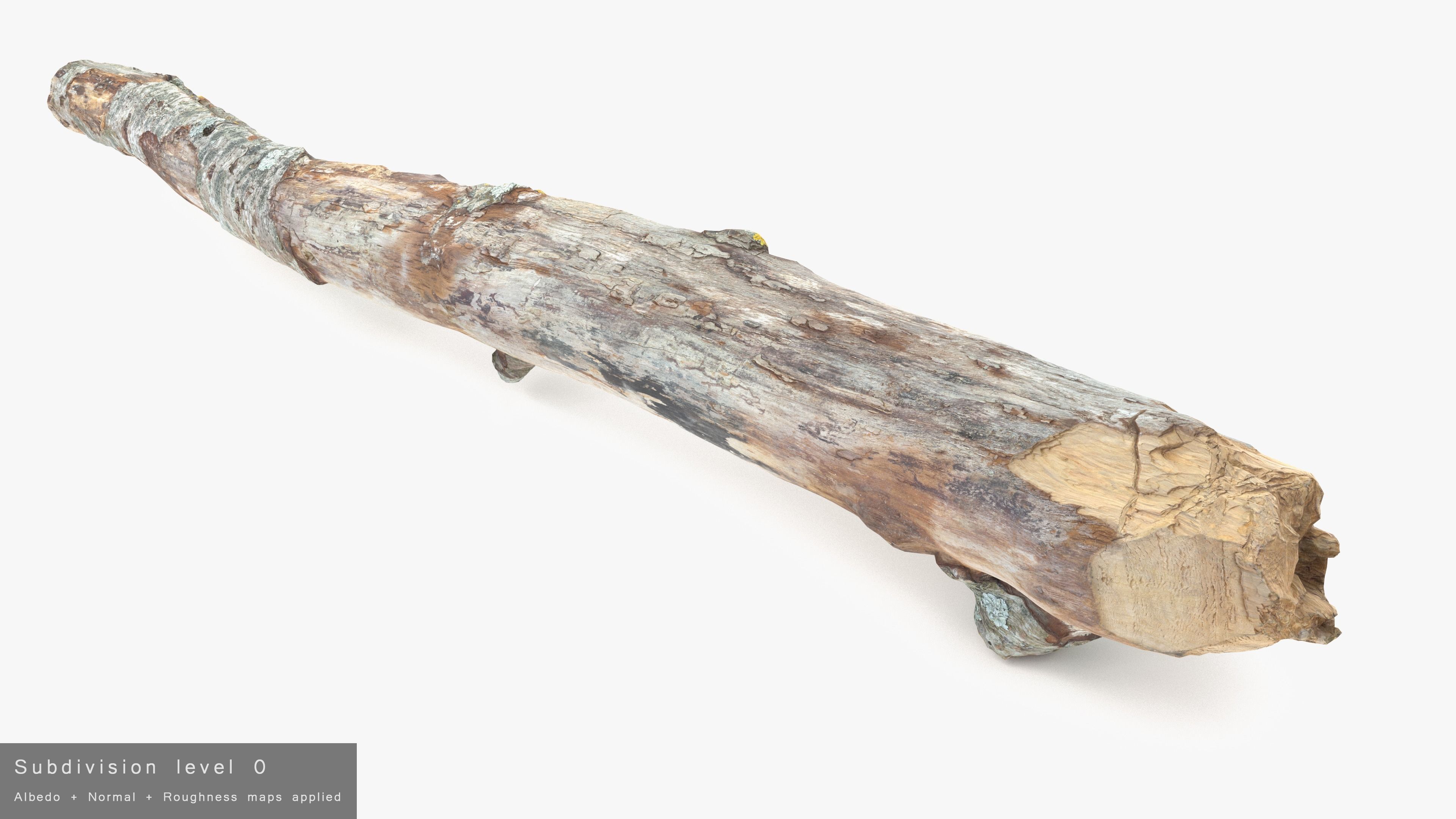 Long Weathered Alder Log Low-poly 3D model_26