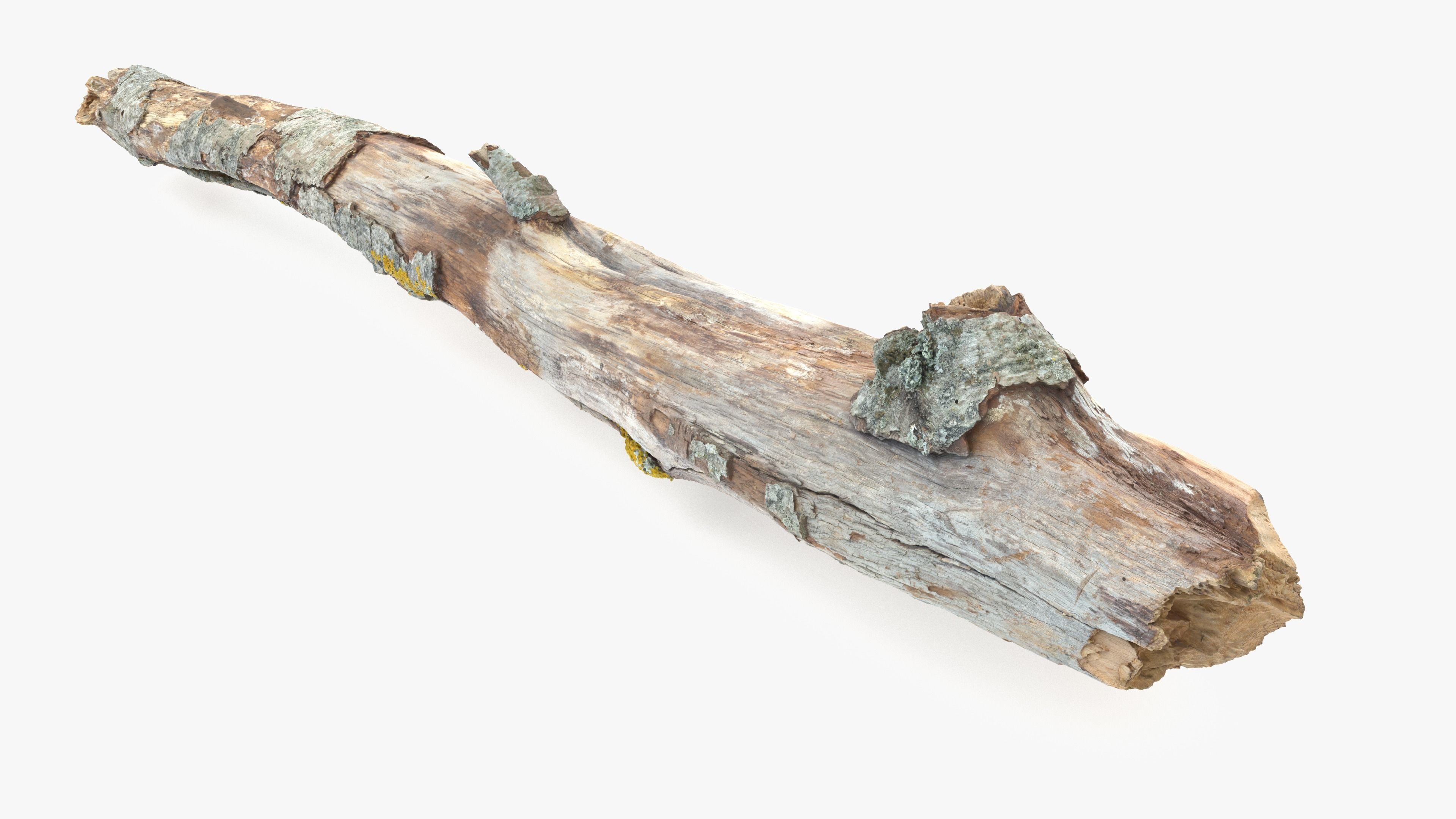 Long Weathered Alder Log Low-poly 3D model_17