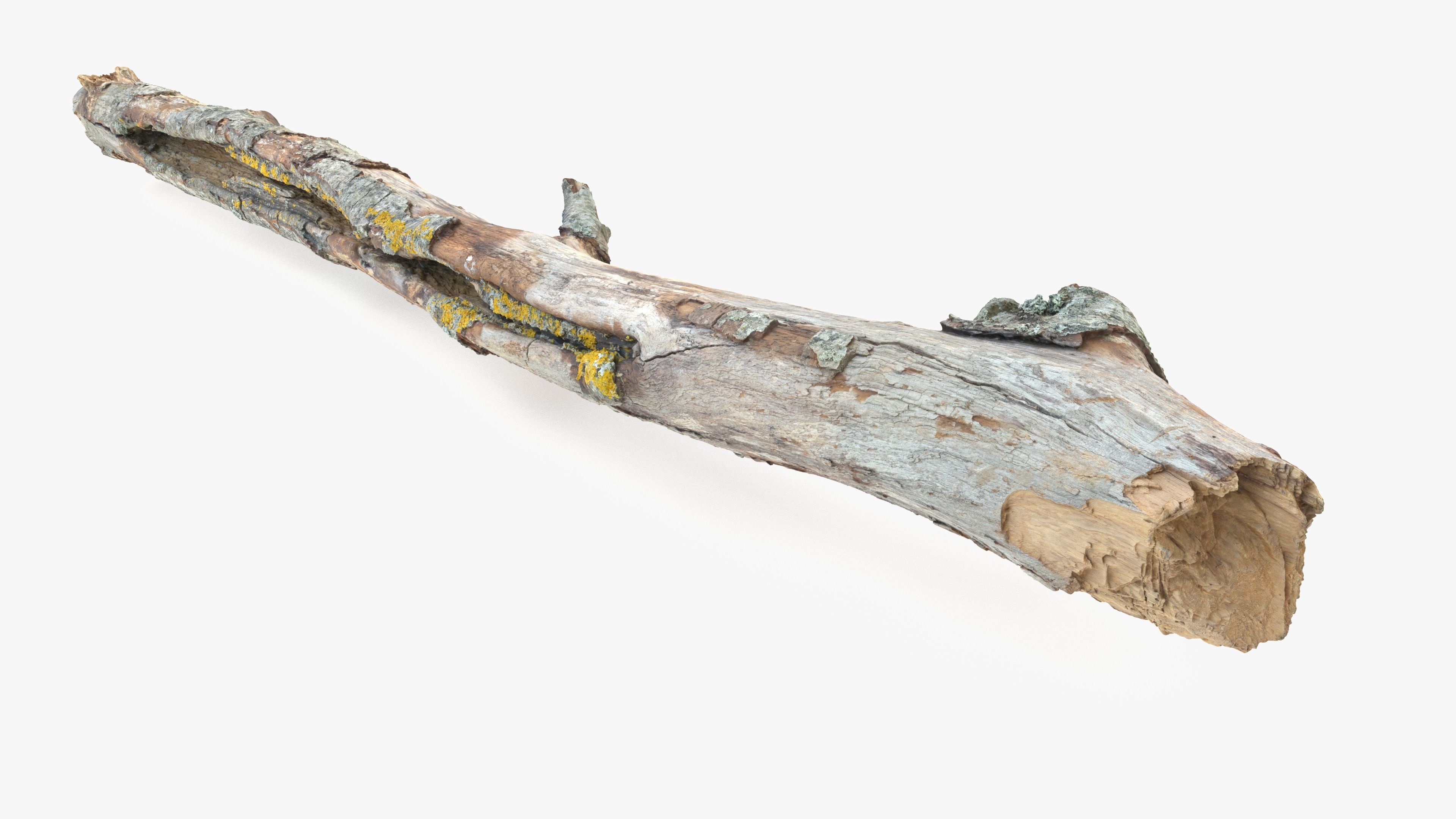 Long Weathered Alder Log Low-poly 3D model_16