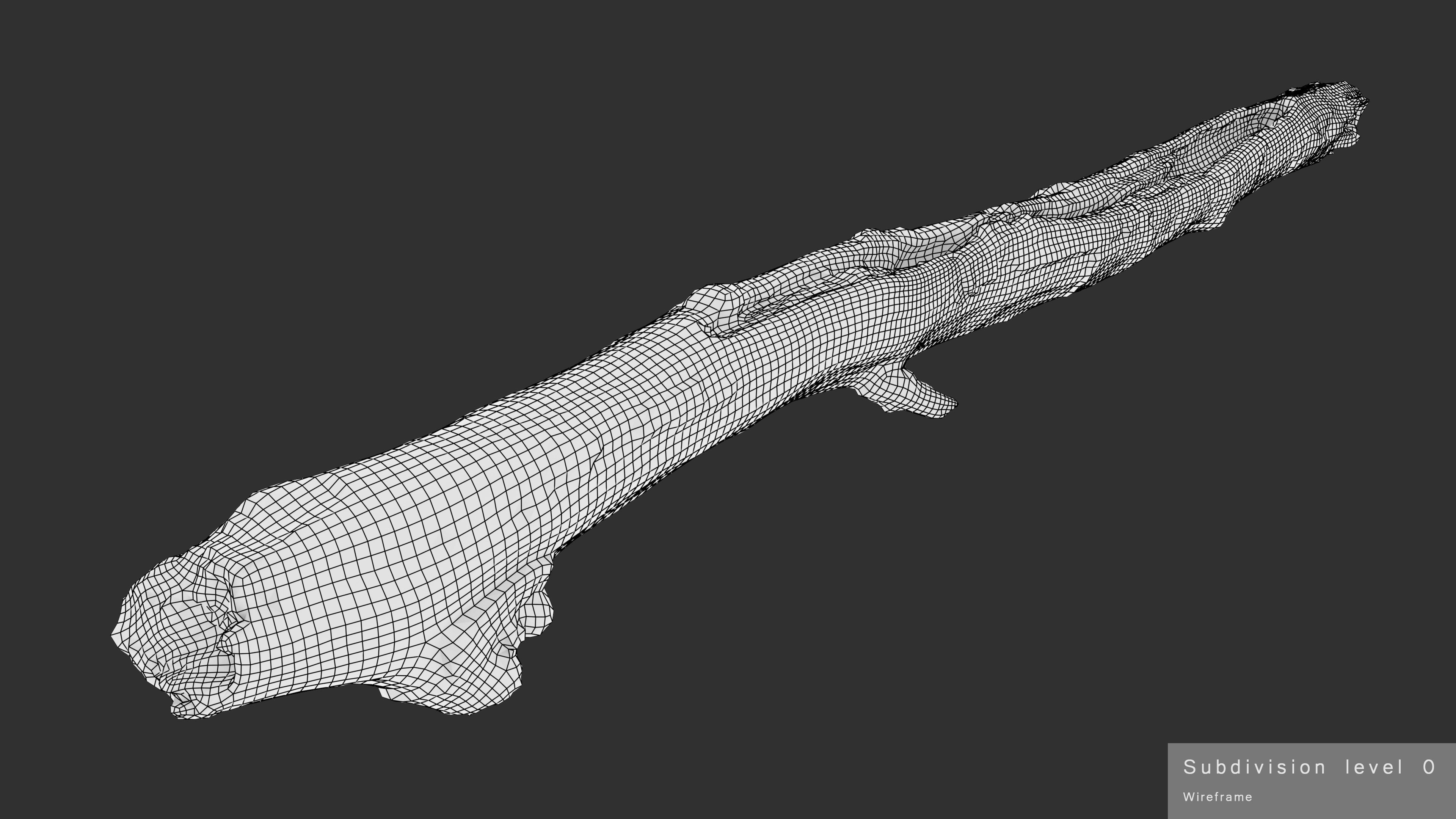 Long Weathered Alder Log Low-poly 3D model_28