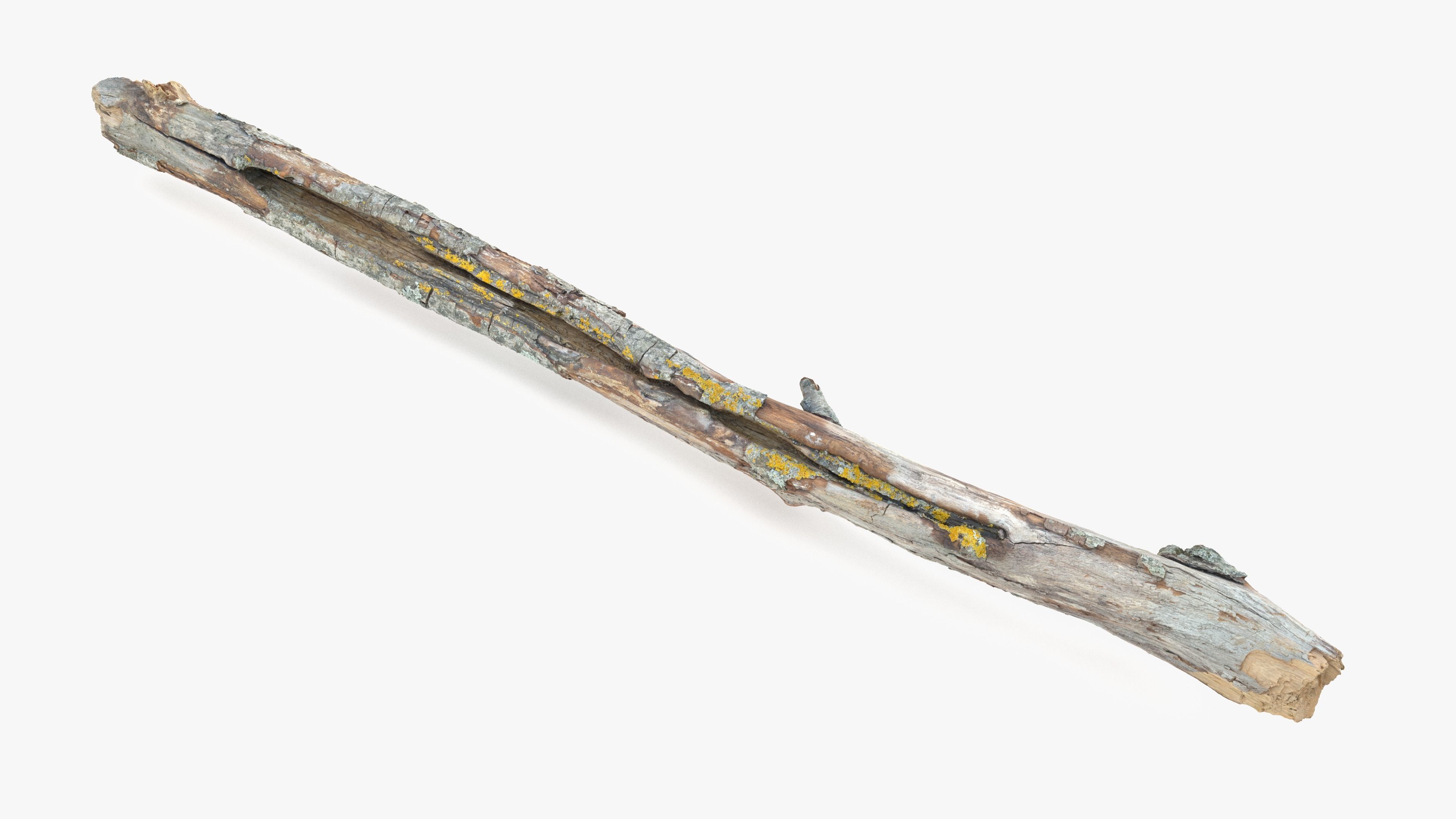 Long Weathered Alder Log Low-poly 3D model_6