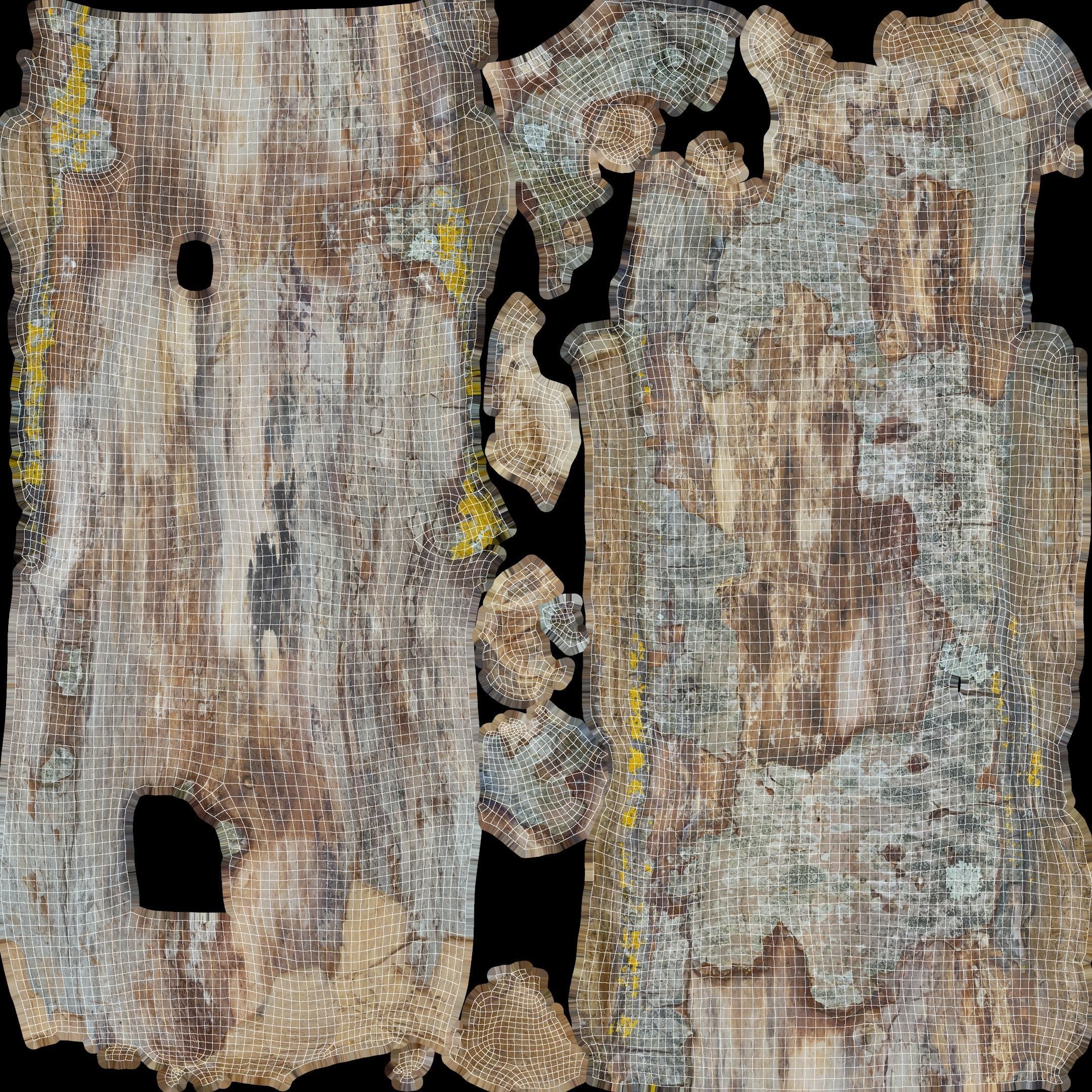 Long Weathered Alder Log Low-poly 3D model_33