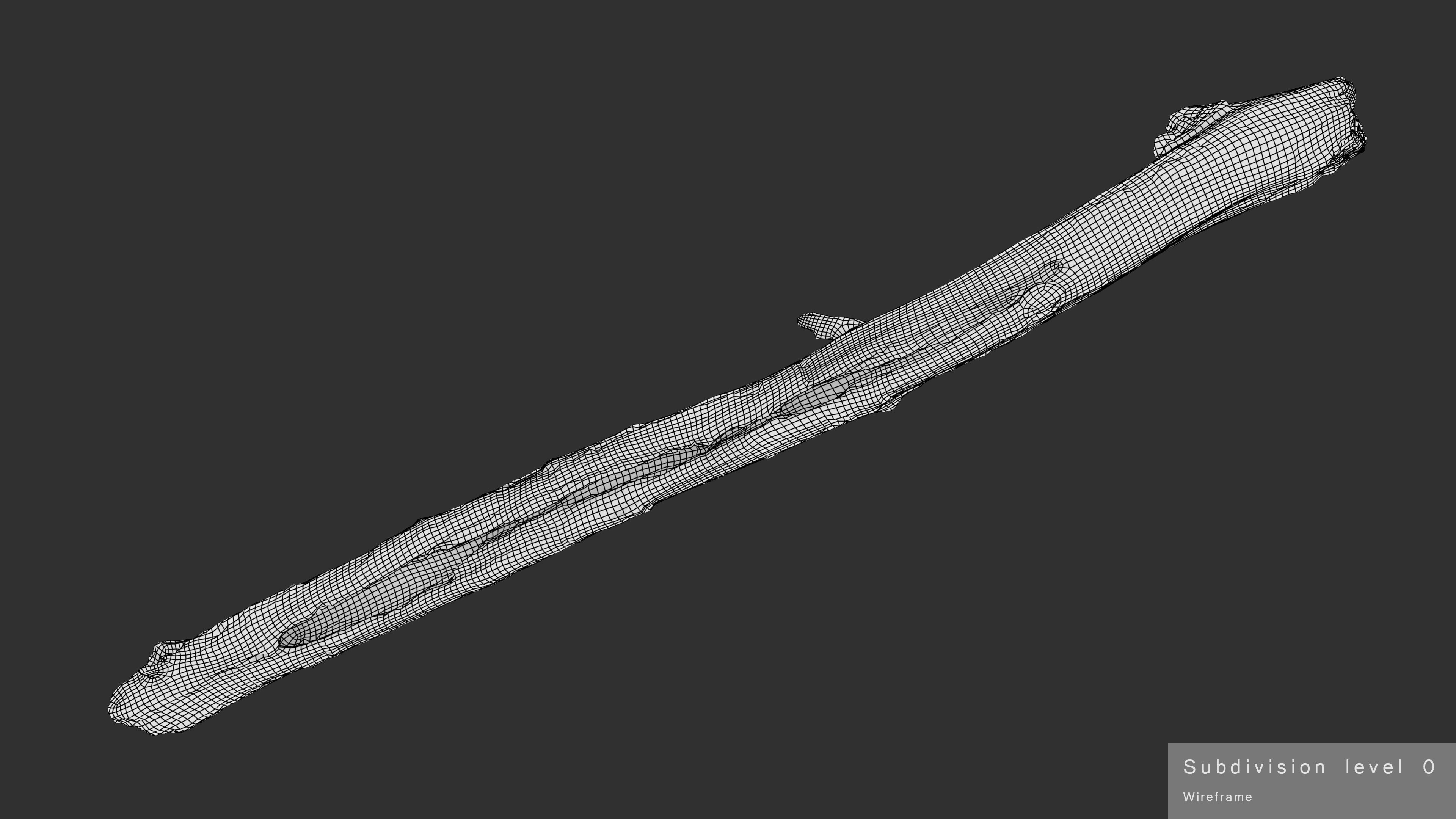 Long Weathered Alder Log Low-poly 3D model_29