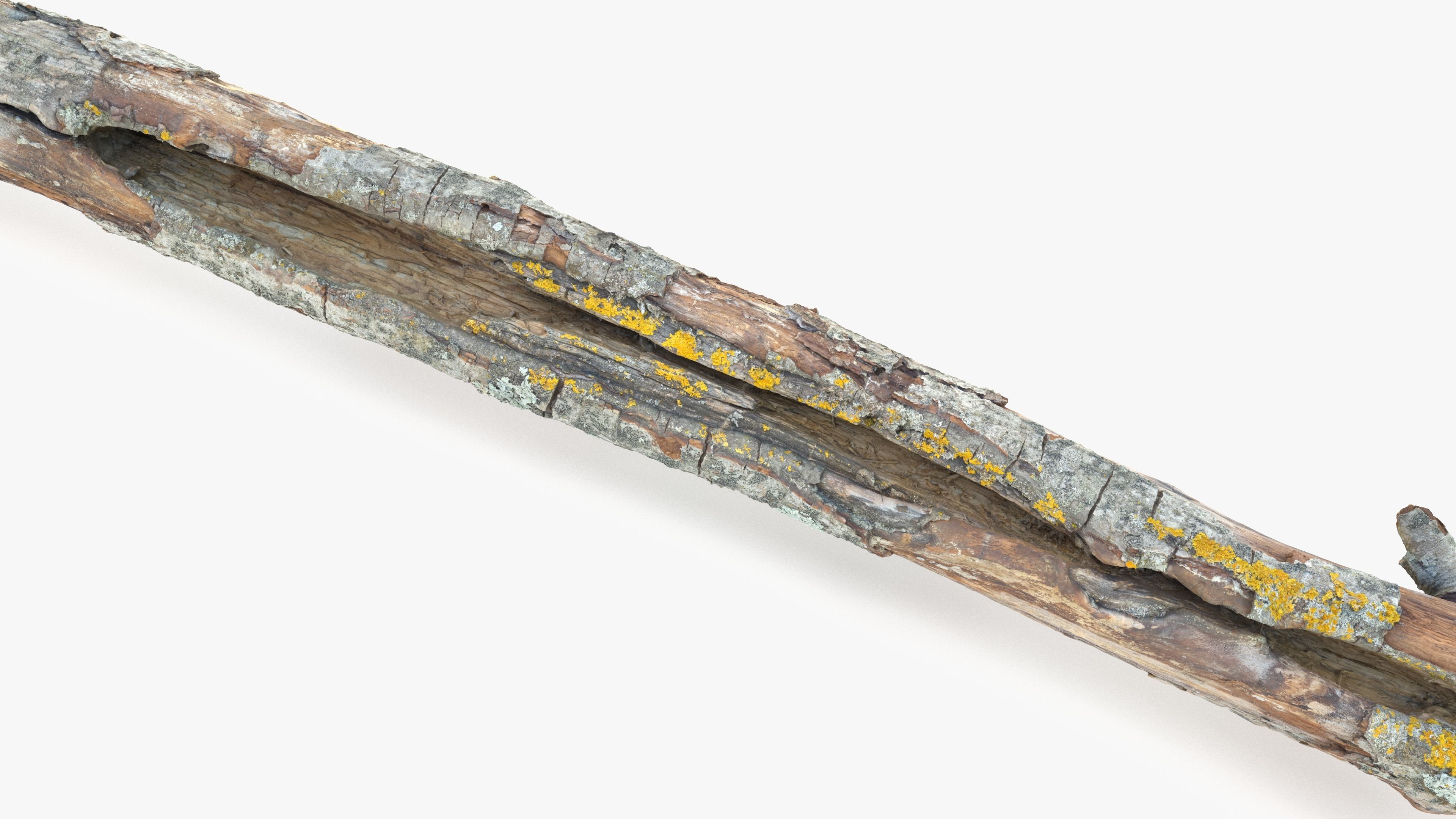 Long Weathered Alder Log Low-poly 3D model_5